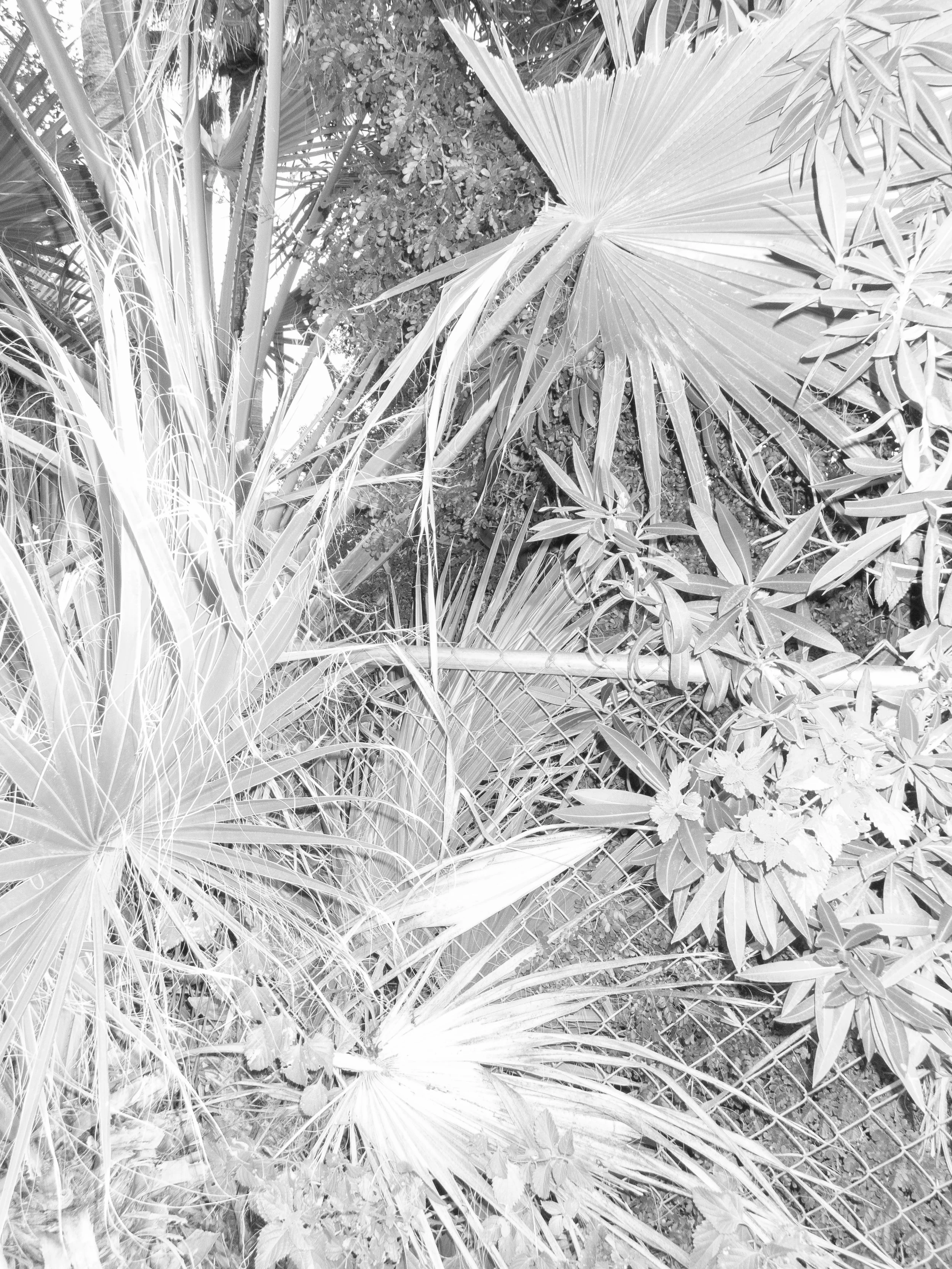 P1030459 copy.jpg