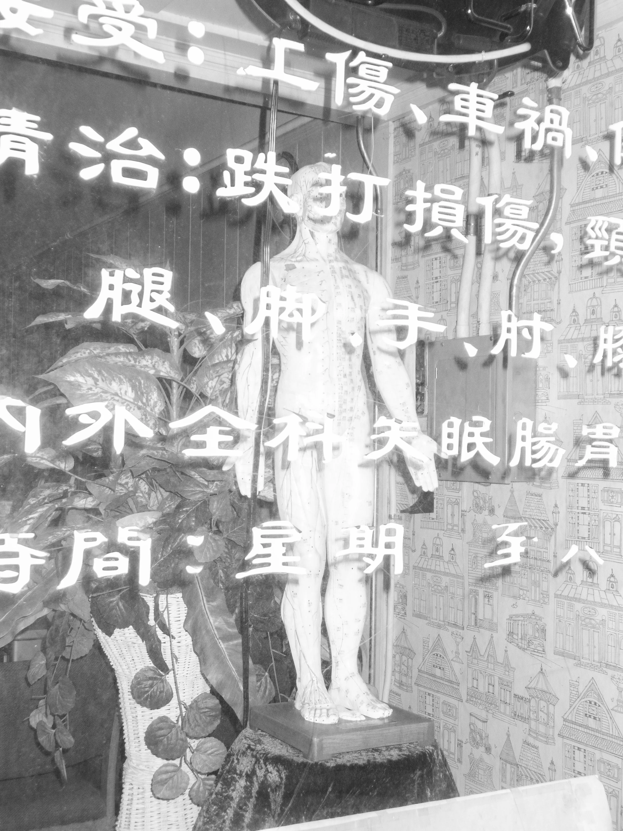 P2120006 copy.jpg