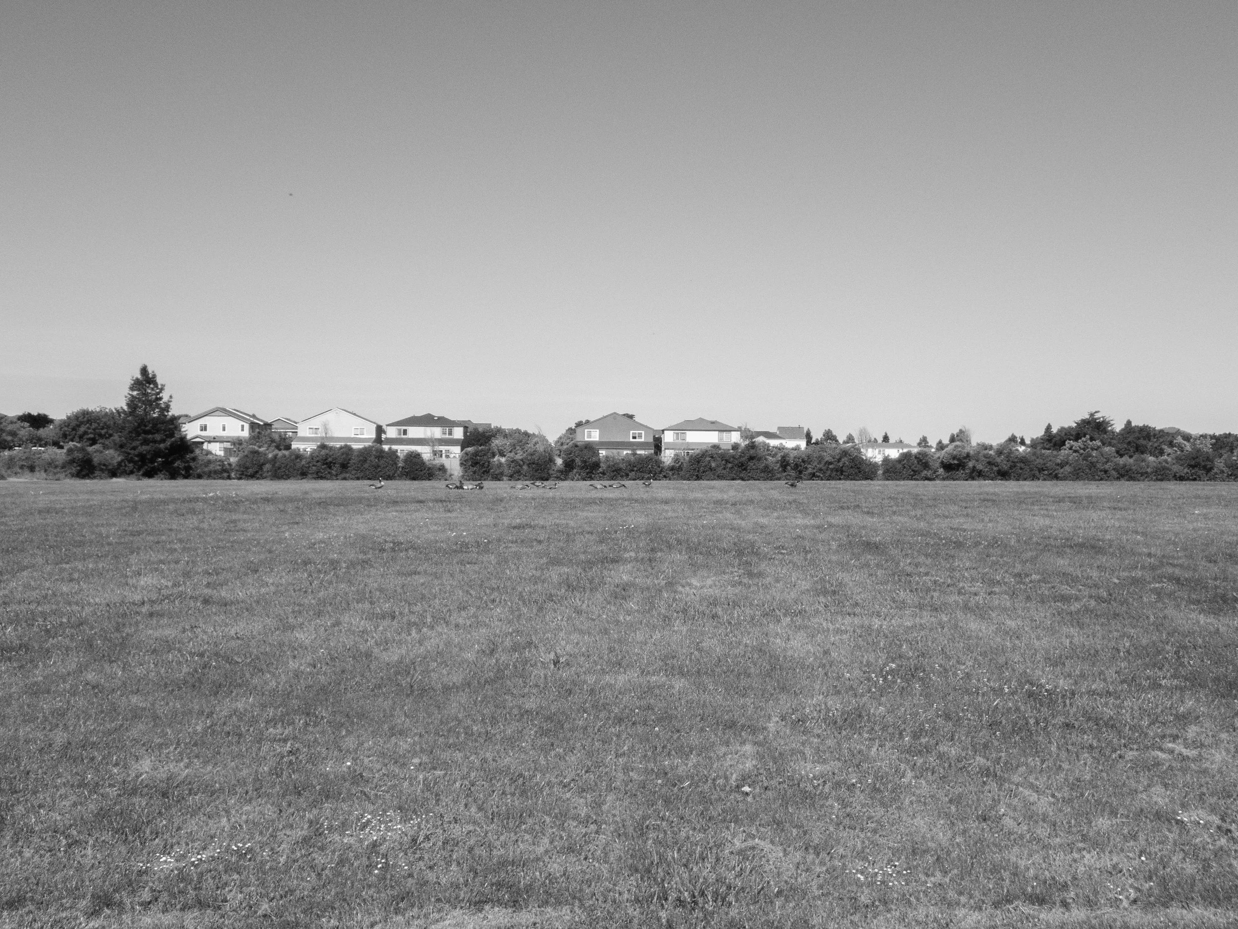 P5170058 copy.jpg