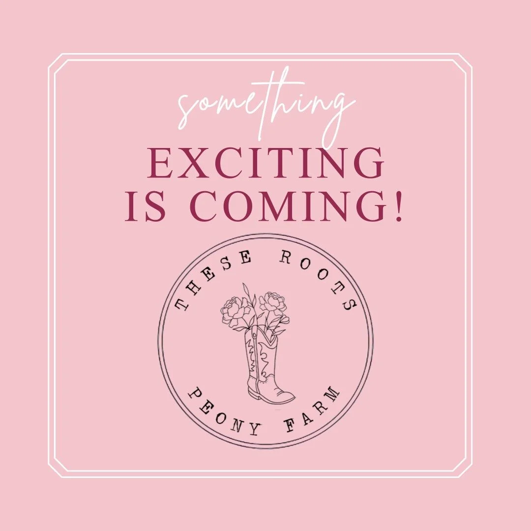 We&rsquo;ve been working on something behind the scenes for the farm! 🌸

We can&rsquo;t wait to share soon! Any guesses what it might be? 👀

Drop your guesses in the comments below &mdash; the first person to guess correctly will win a little surpr
