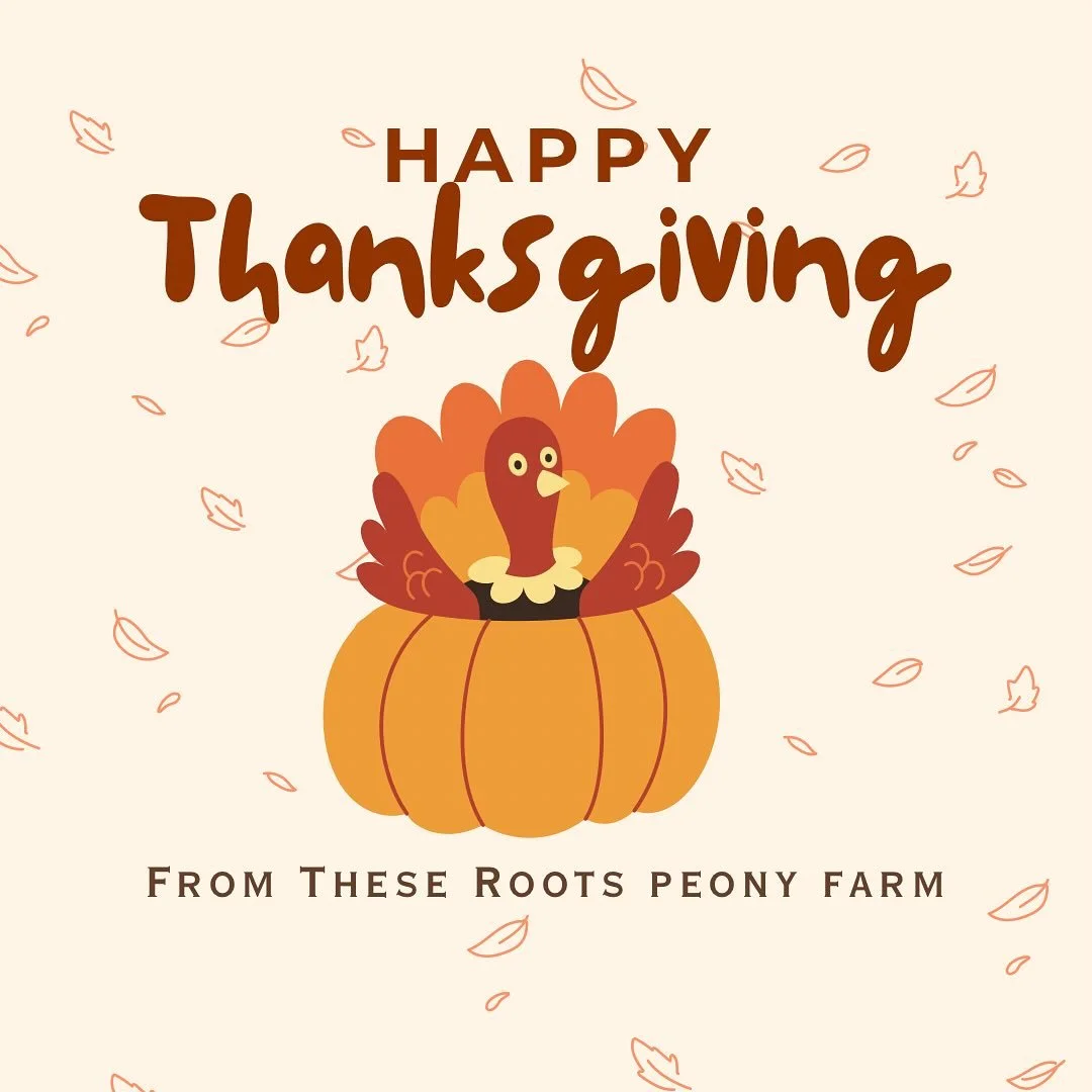 Happy Thanksgiving from the farm! We're appreciating the little victories and the people who make it all possible. 🧡🍁