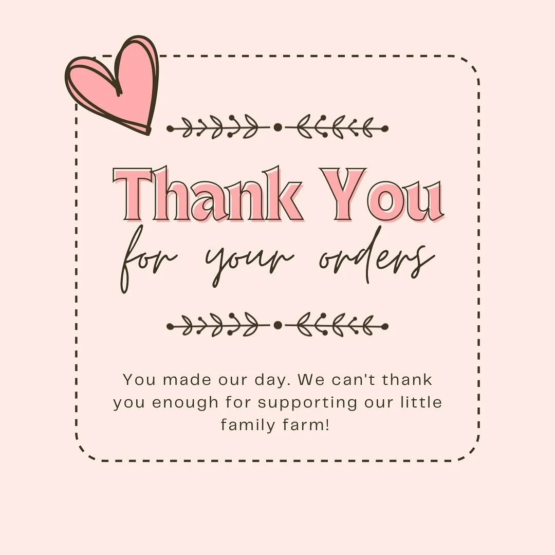 You all were amazing yesterday! Every order means so much, thanks for being part of this community. I appreciate you guys! 🩷