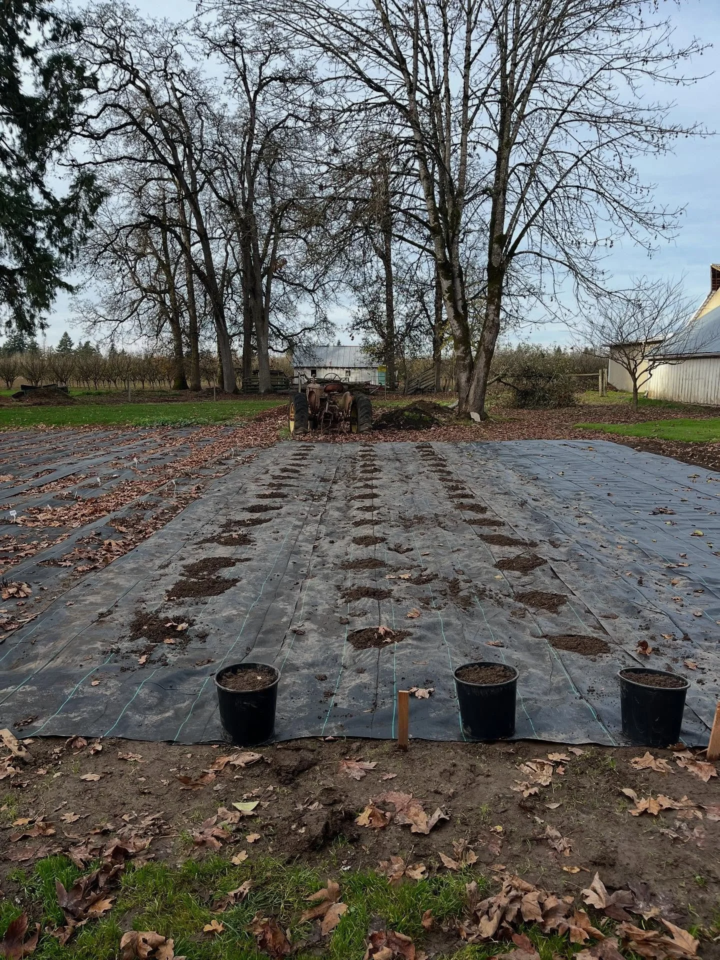Moving day for our old tractor! Now we can turn that spot into a cute hangout with lights and picnic tables by the peony field!
