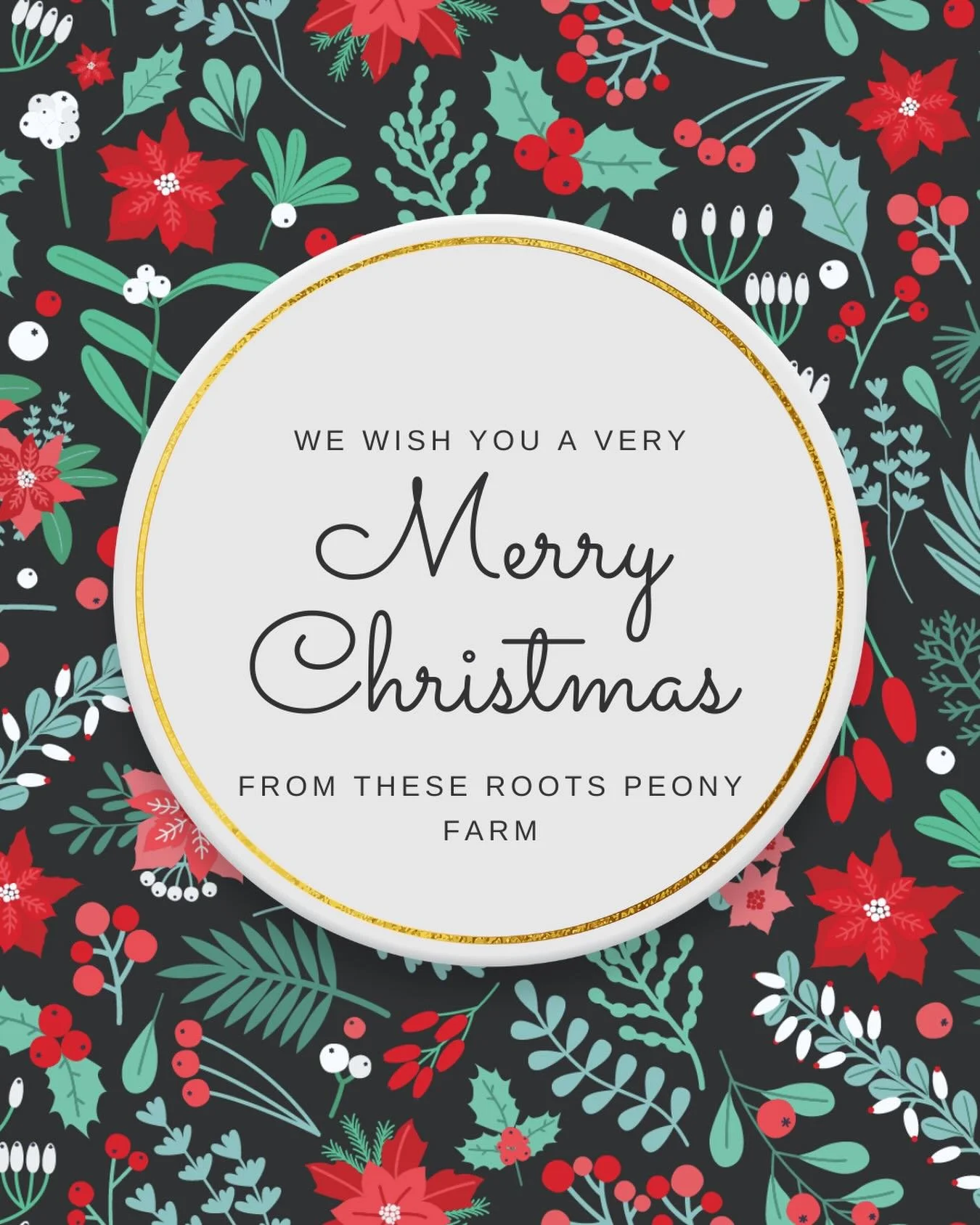 Wishing you a Merry Christmas 🎄From our family to yours ❤️