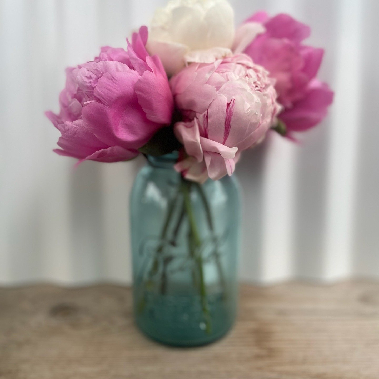We are in full planning mode for this spring- I&rsquo;d love some input. If you were to visit our peony farm, what kind of experience would you be most excited about?

🌸 Self-Serve Farmstand with pre made bouquets
🌸 U-pick
🌸 Build-your-own peony b