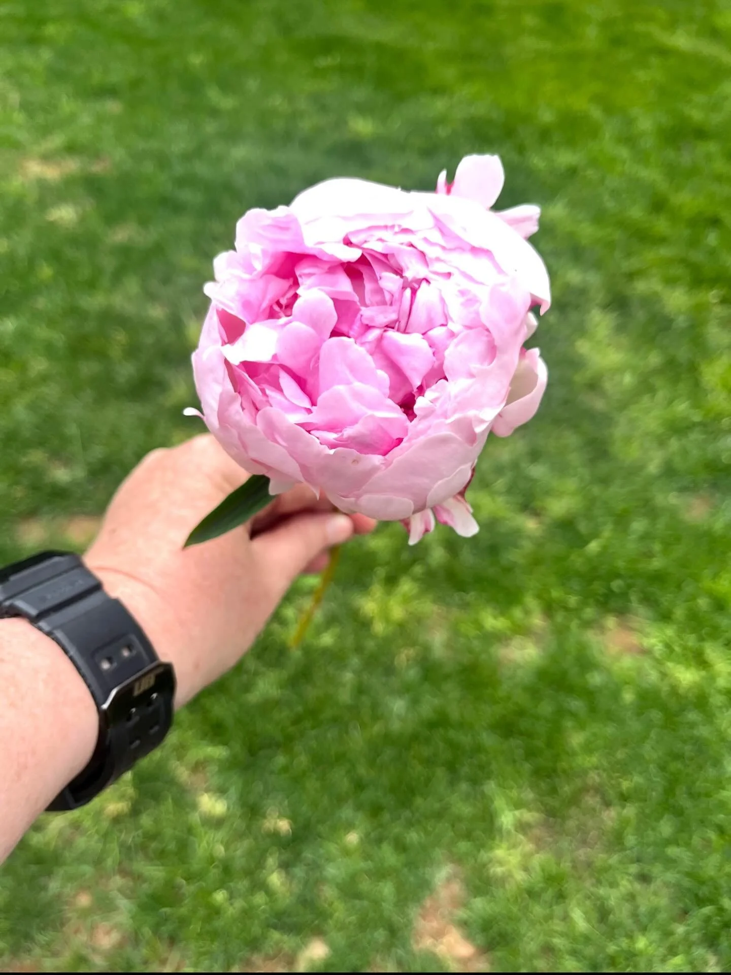 Spring can't come soon enough, 78 days to go! 🌸