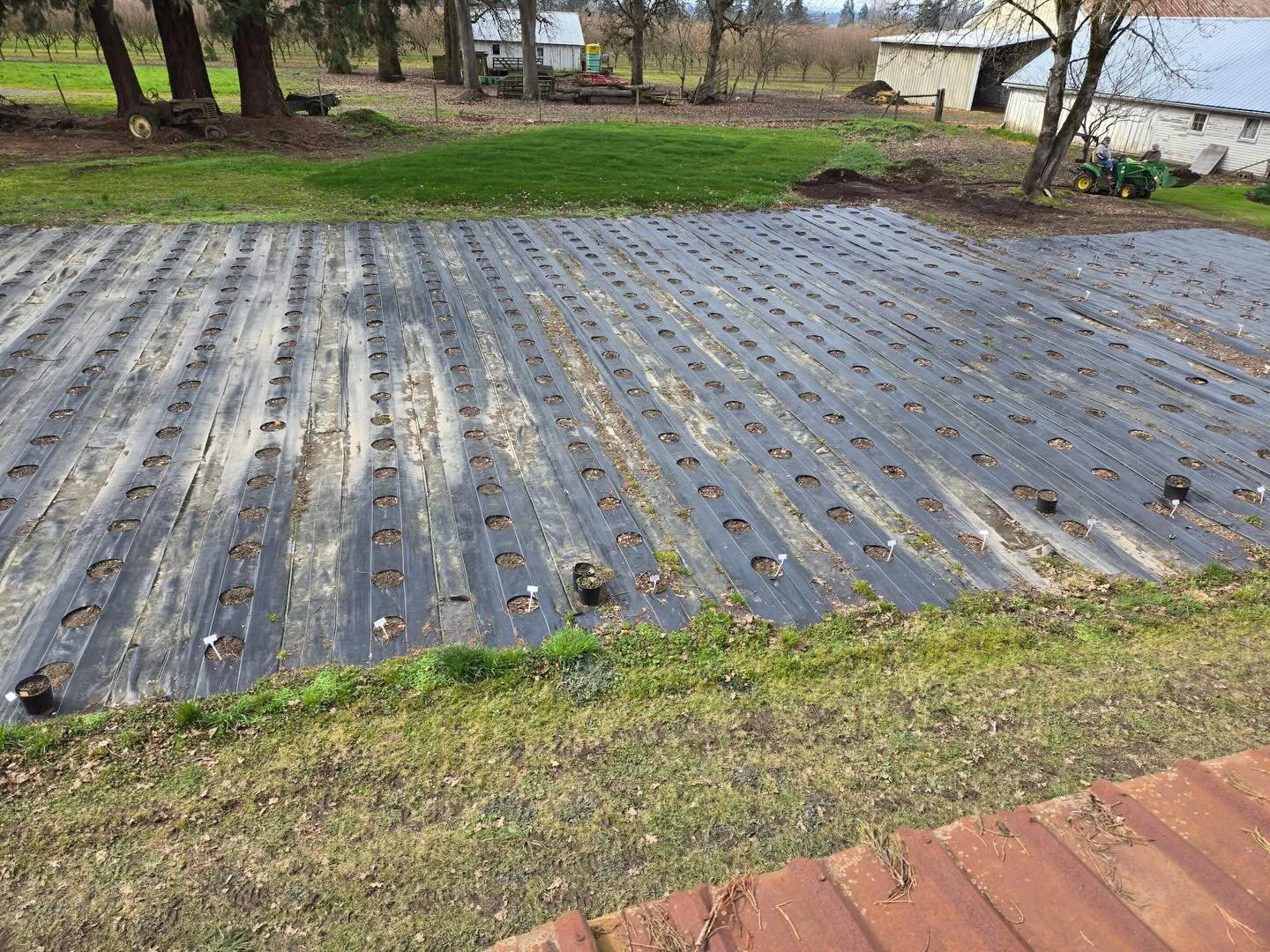 Dave went up on the roof of the lean to today to do a quick repair. He took this pic of the field and I&rsquo;m so dang excited for it to be filled with blooming peonies in a couple months. Sorry Dave you&rsquo;re gonna have to crawl back up there in