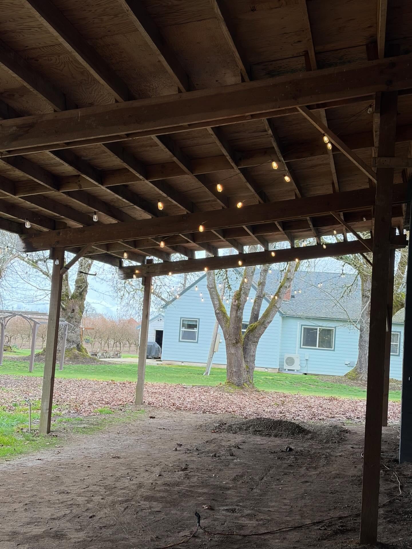 Just hung lights under the lean-to! 💡Next it's time to add some magic to the peony field with string lights when the weather warms up!