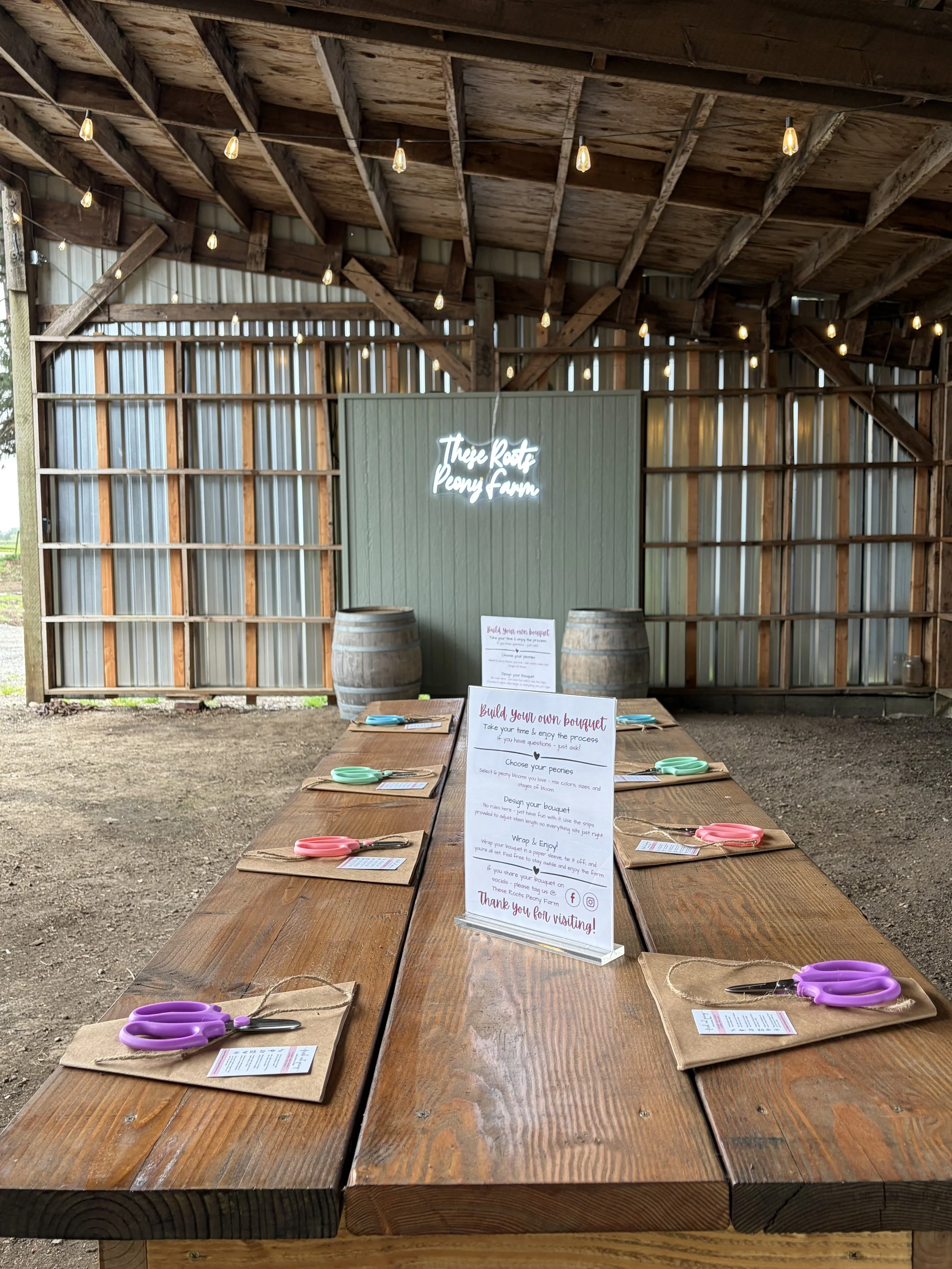 A long wooden table set up for a build-your-own bouquet activity with colorful scissors, instruction cards, and a center sign. The setting is inside a rustic barn with string lights hanging from the ceiling and a neon sign that reads 'They Reap Peony Fun' on the back wall.