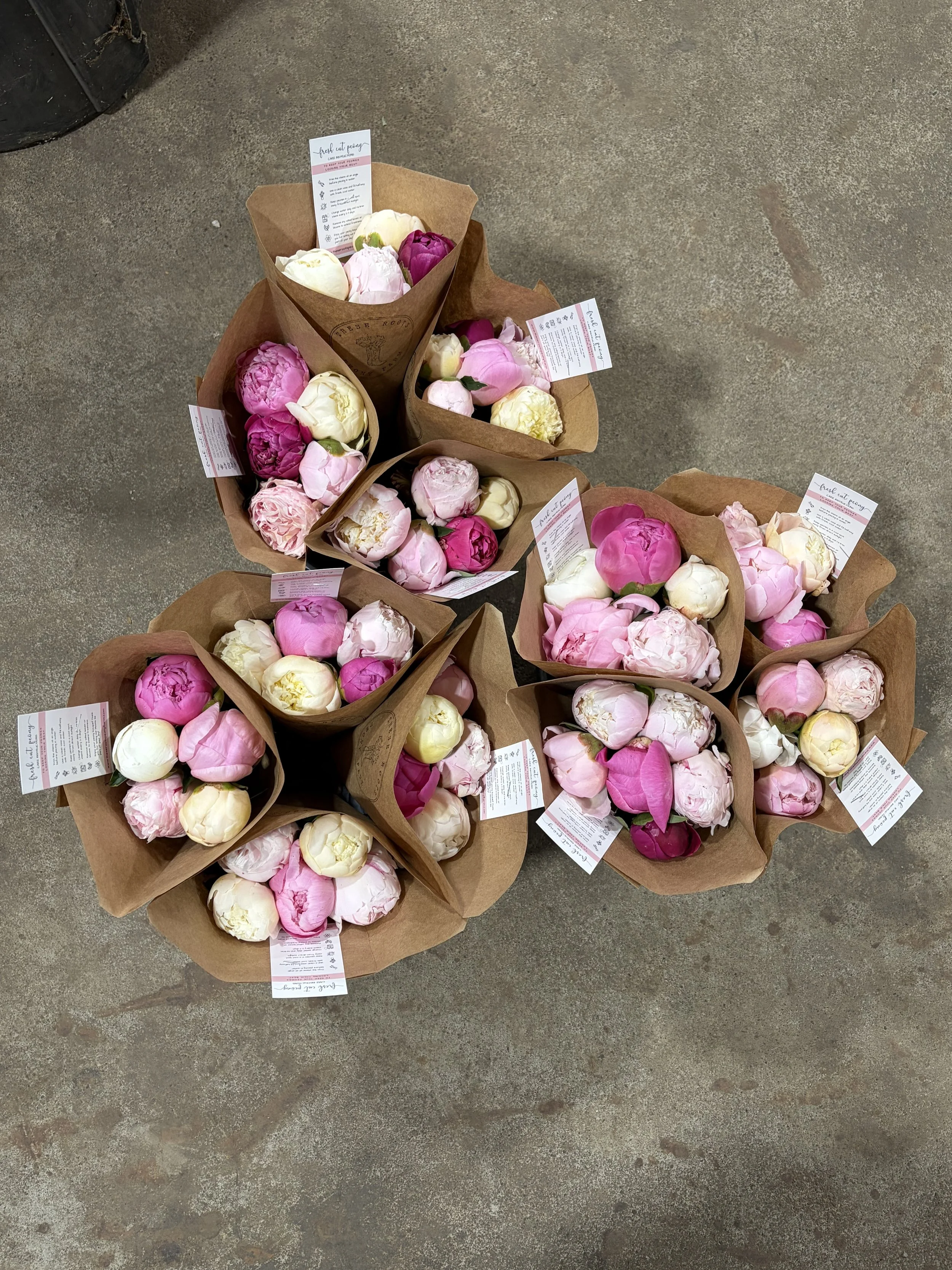 Multiple bouquets of peonies in shades of pink, white, and cream, wrapped in brown paper, placed on a concrete floor.