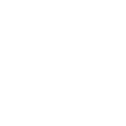 Custom Additions icon