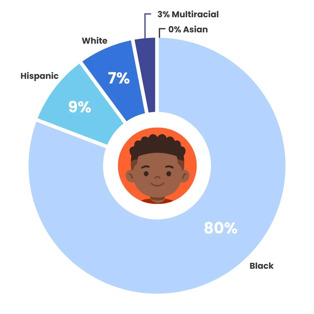 pie chart depicting segregated school