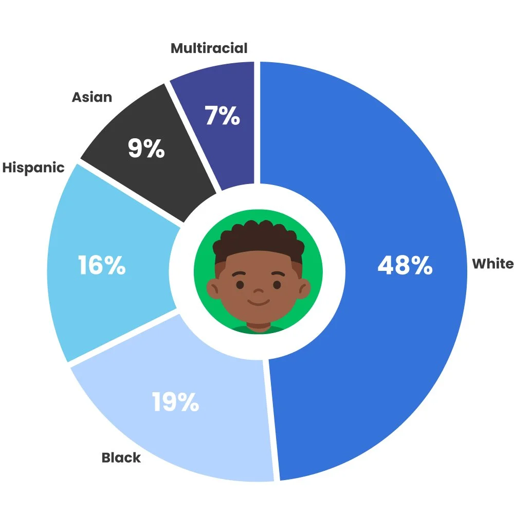pie chart depicting diverse school
