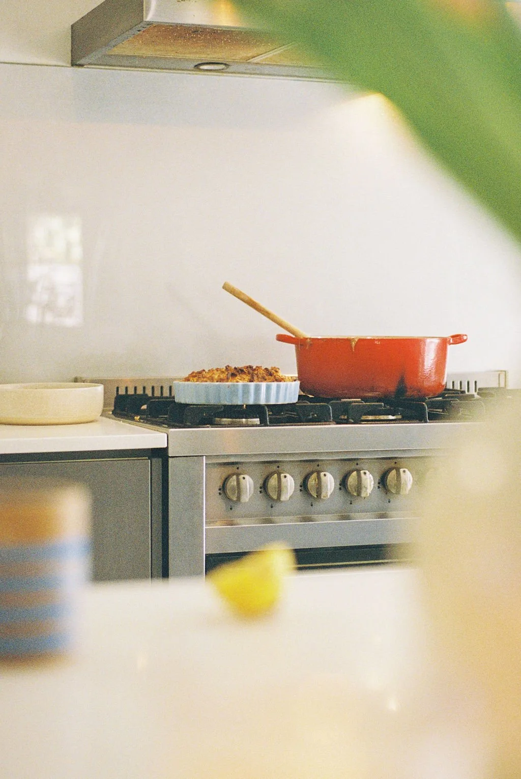 A stove with a red pot and a blue dish containing food, in a kitchen setting. The background features a white wall and a stainless steel range hood.
