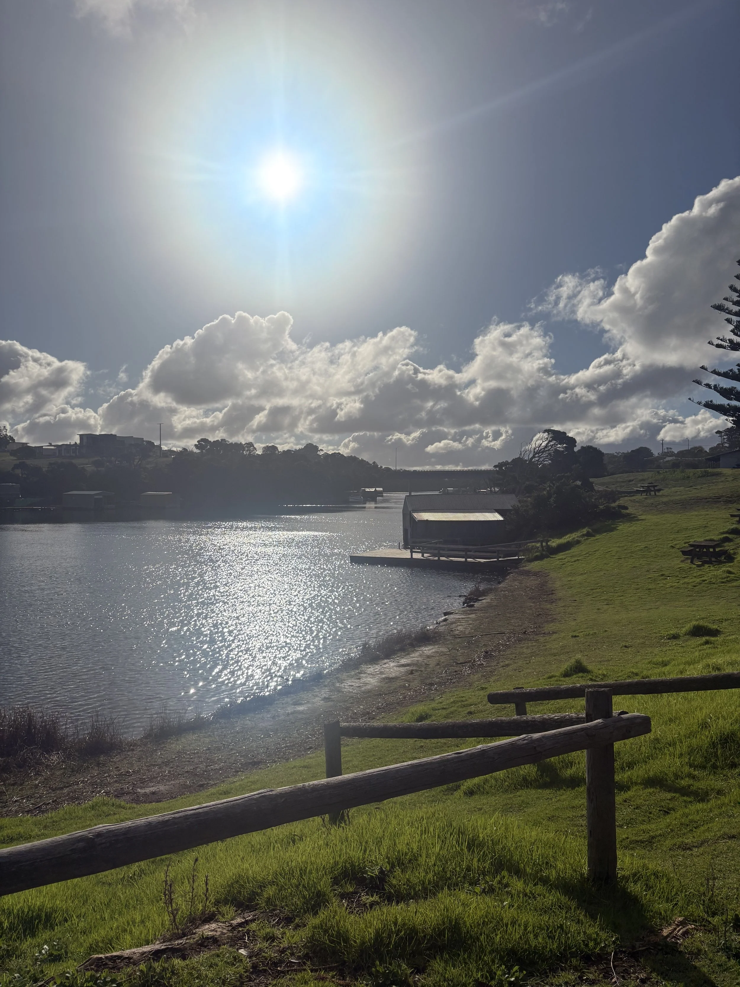Nelson - winter beauty…