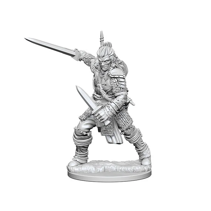 001h_humanmalefighter_valeros_unpainted_hiresrender_2.jpg