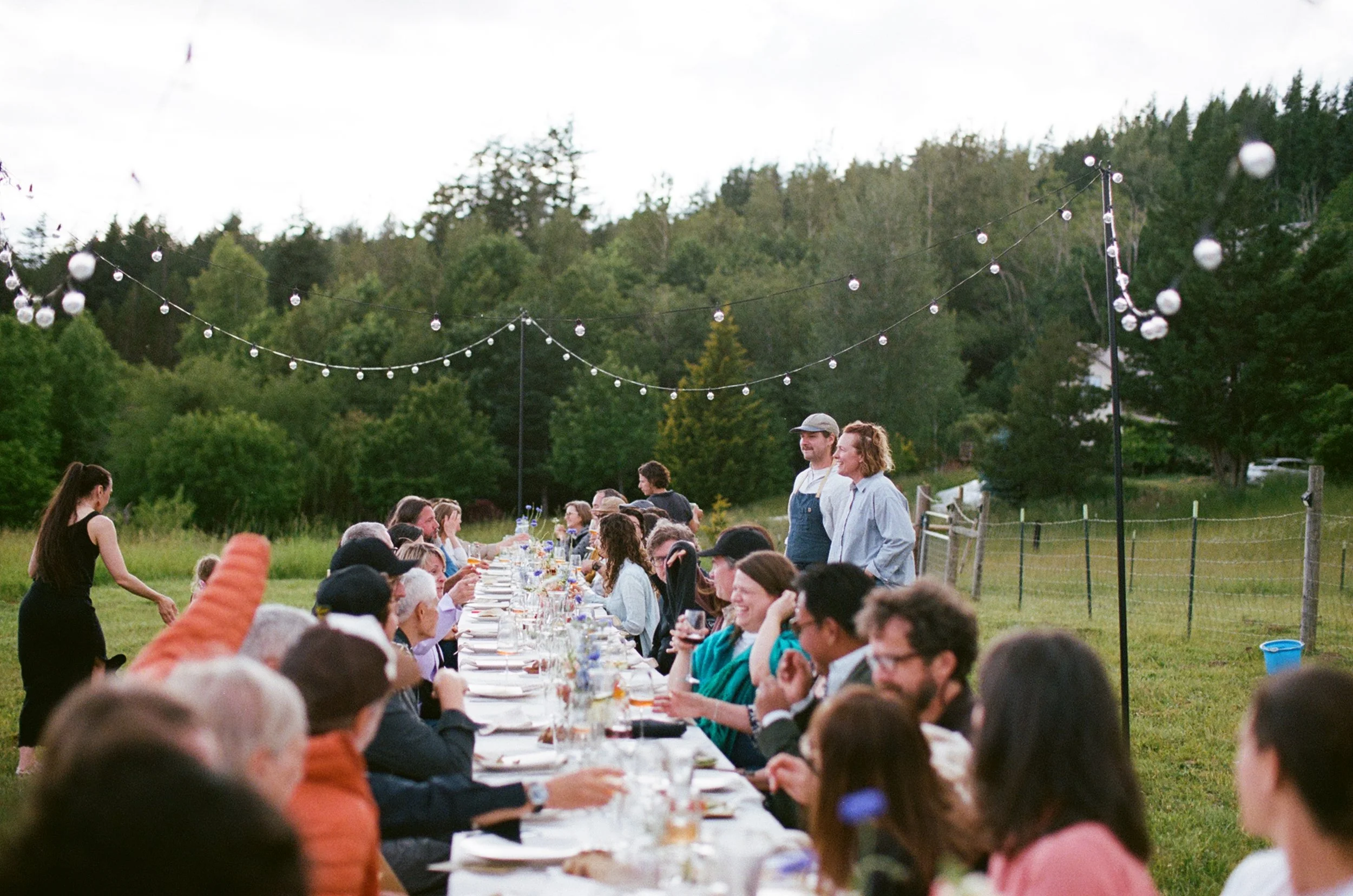 Outdoor dinner gathering with long tables and string lights, people chatting and smiling, in a green, wooded area during the evening.