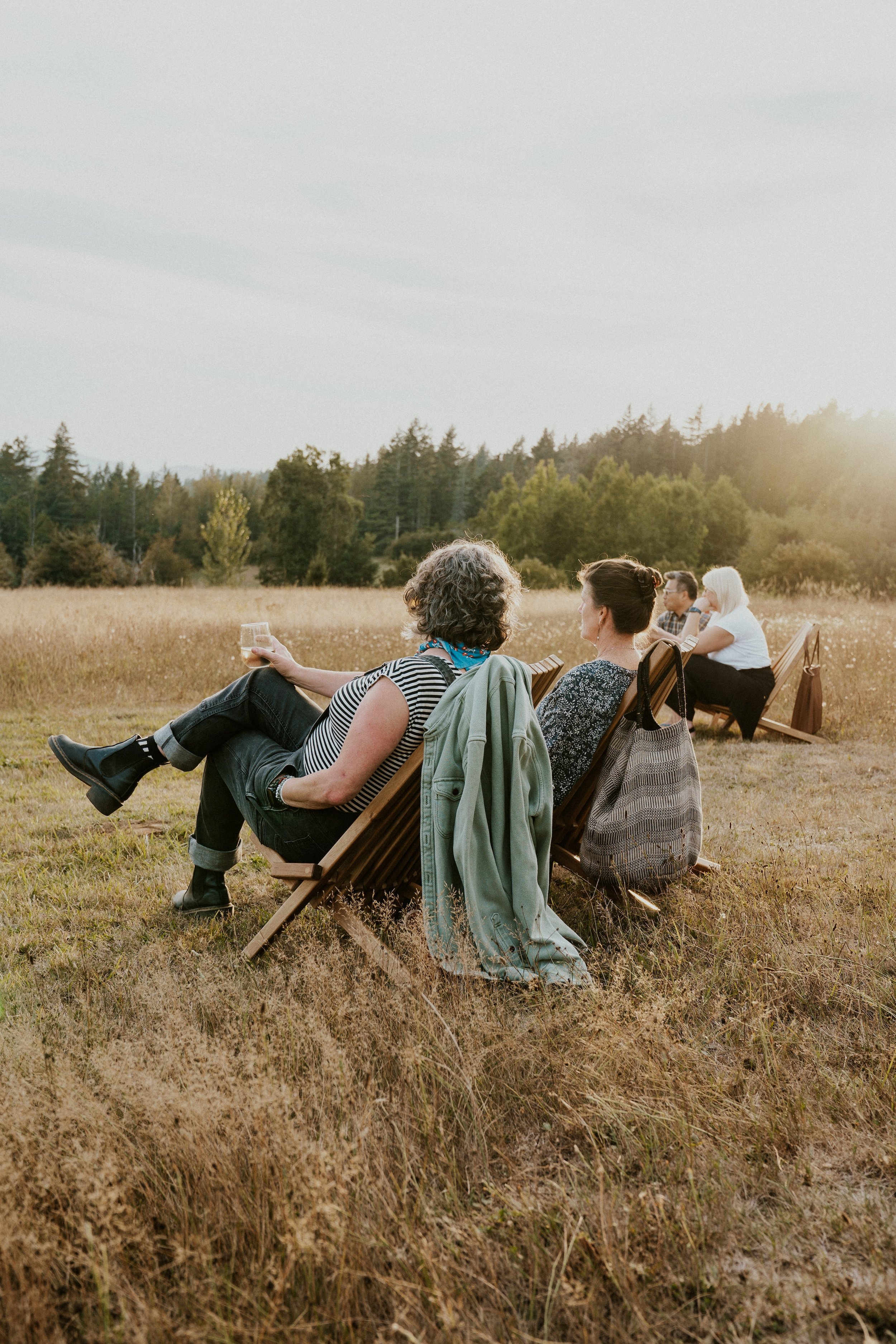 Four people sitting on wooden chairs in a field of dry grass, facing away from the camera, with a forest in the background during sunset.