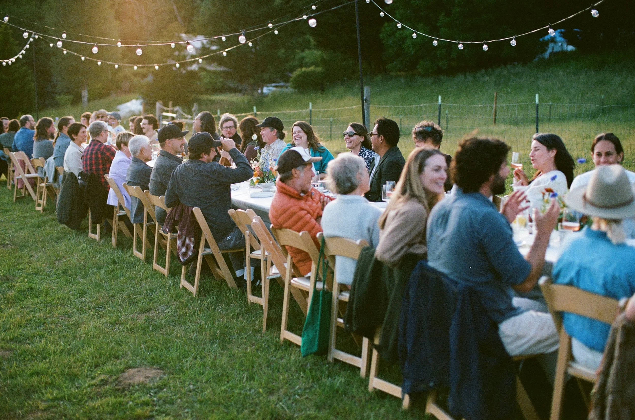 People enjoying a gathering outdoors at a long table on a grassy field during sunset, with string lights overhead and a wooded background.