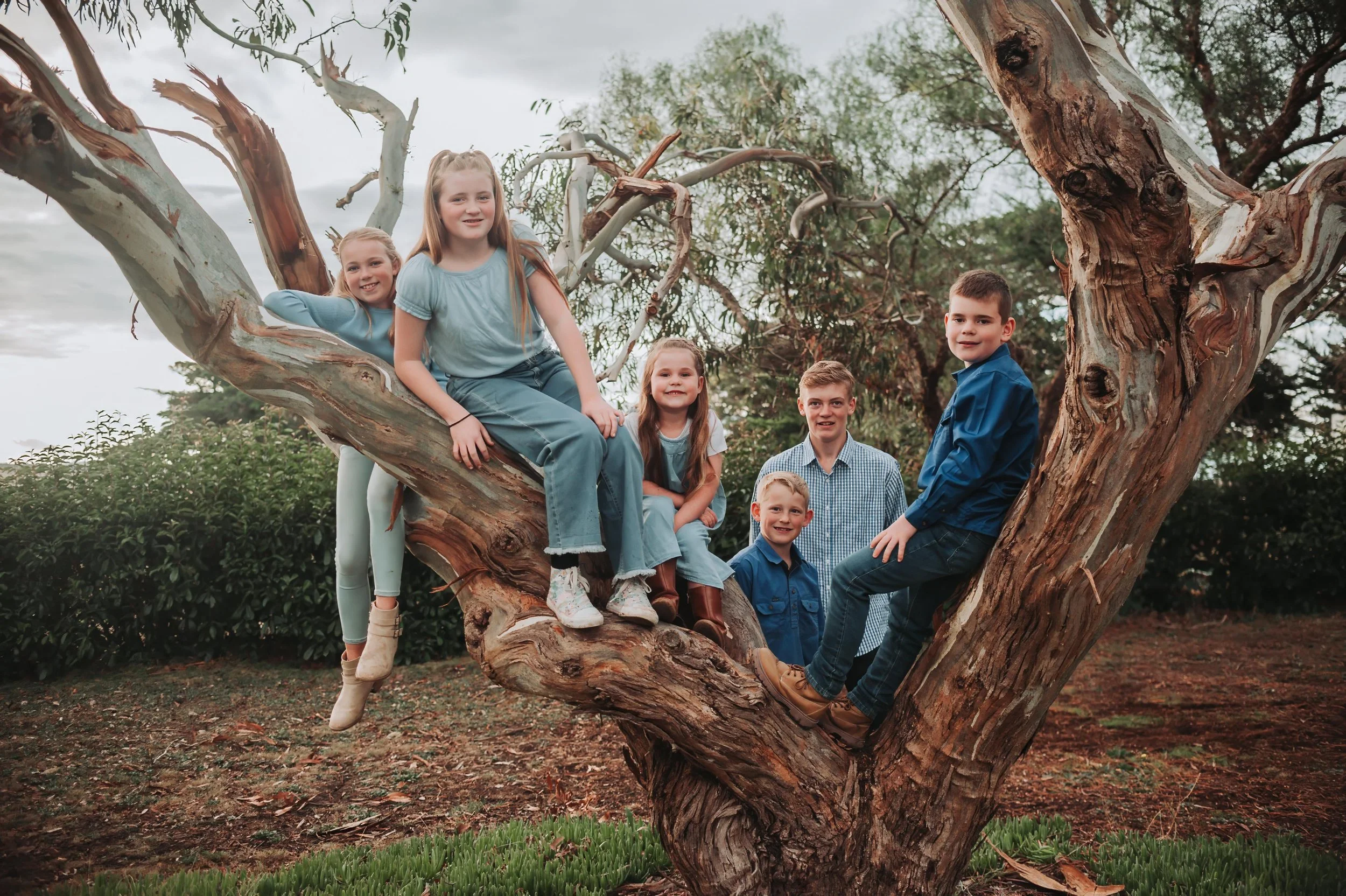 Group of children sitting on a large tree in a park setting.