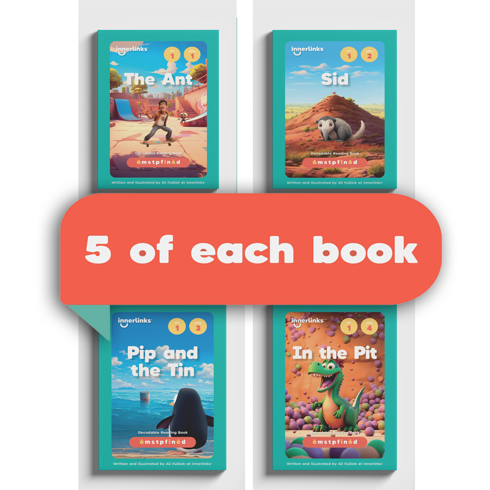 Set 1 Classroom Bundle - 5 of each title - 20 books