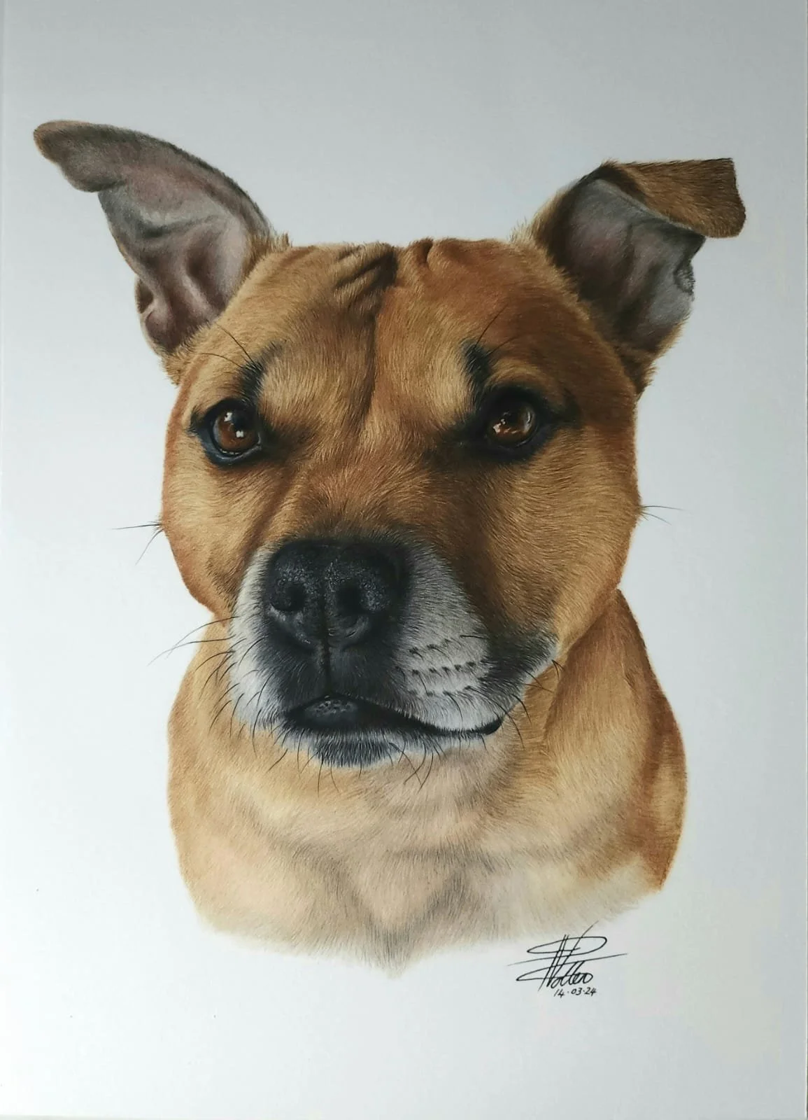 WhatsApp Image 2025-01-03 at 2.50.59 PM.jpeg