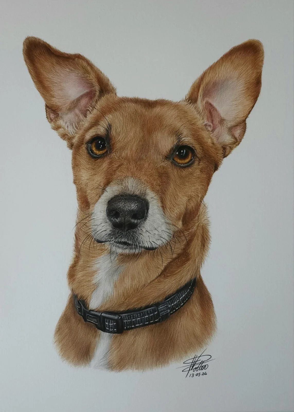 WhatsApp Image 2025-01-03 at 2.50.57 PM (4).jpeg