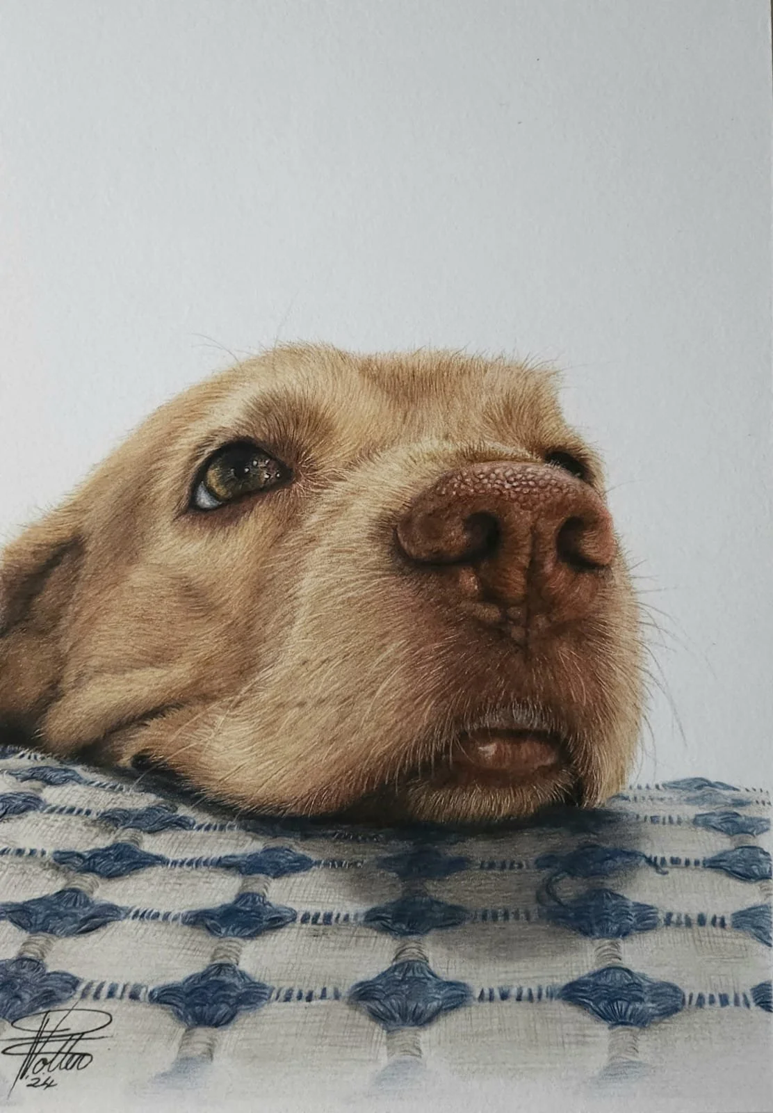 WhatsApp Image 2025-01-03 at 2.50.56 PM (1).jpeg