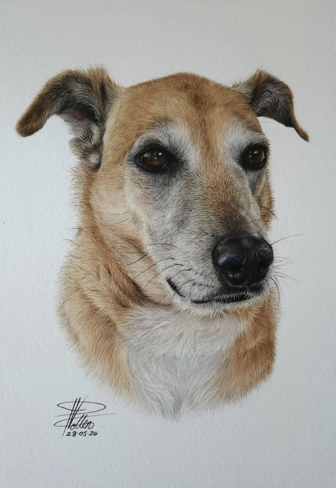 WhatsApp Image 2025-01-03 at 2.50.57 PM (2).jpeg