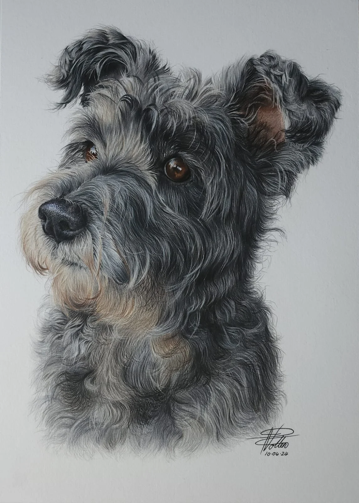 WhatsApp Image 2025-01-03 at 2.50.58 PM.jpeg