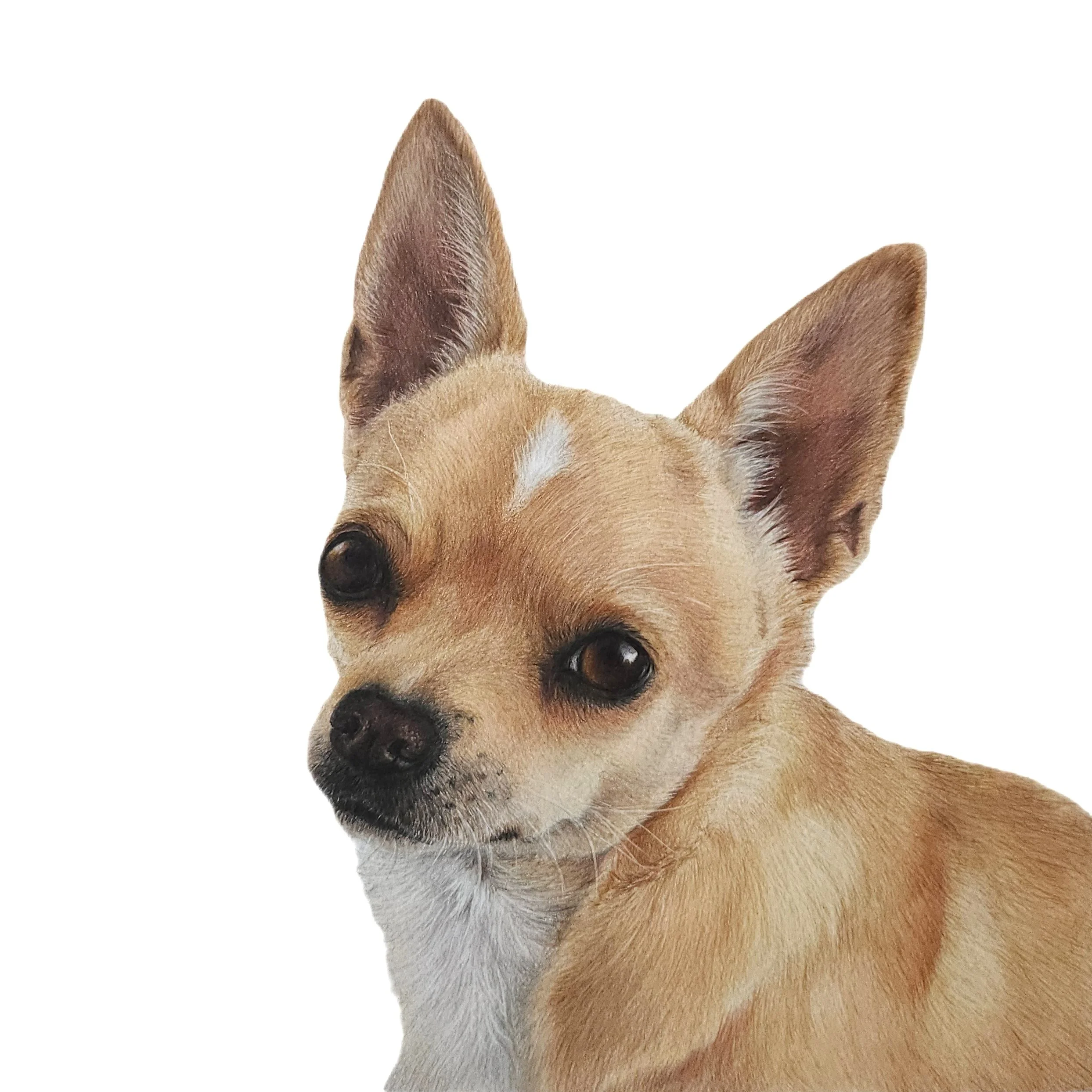 penny2.jpg