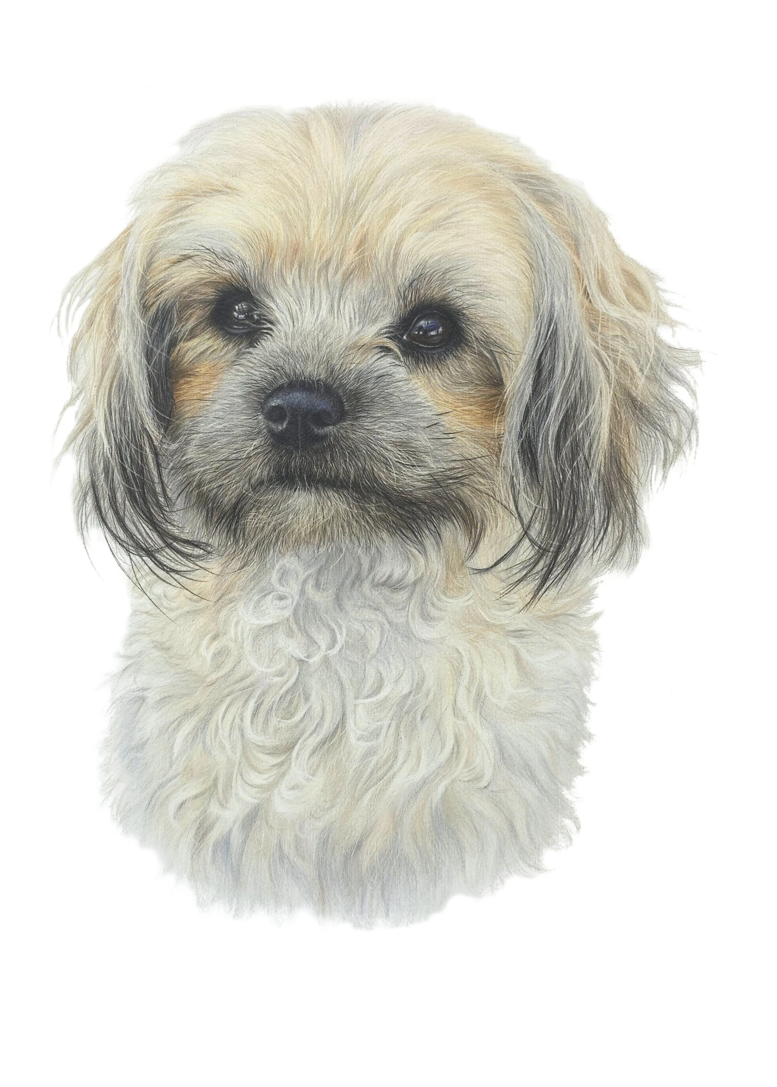 JPEG Pipi no background- Resized.jpg