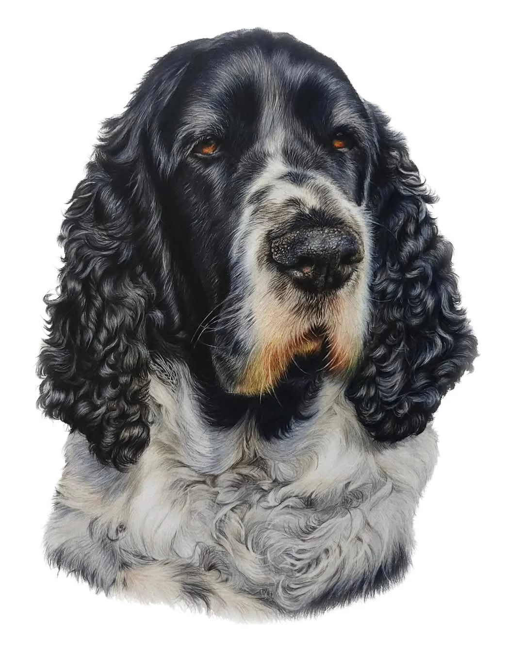 Max Drawing- JPEG no background.jpg