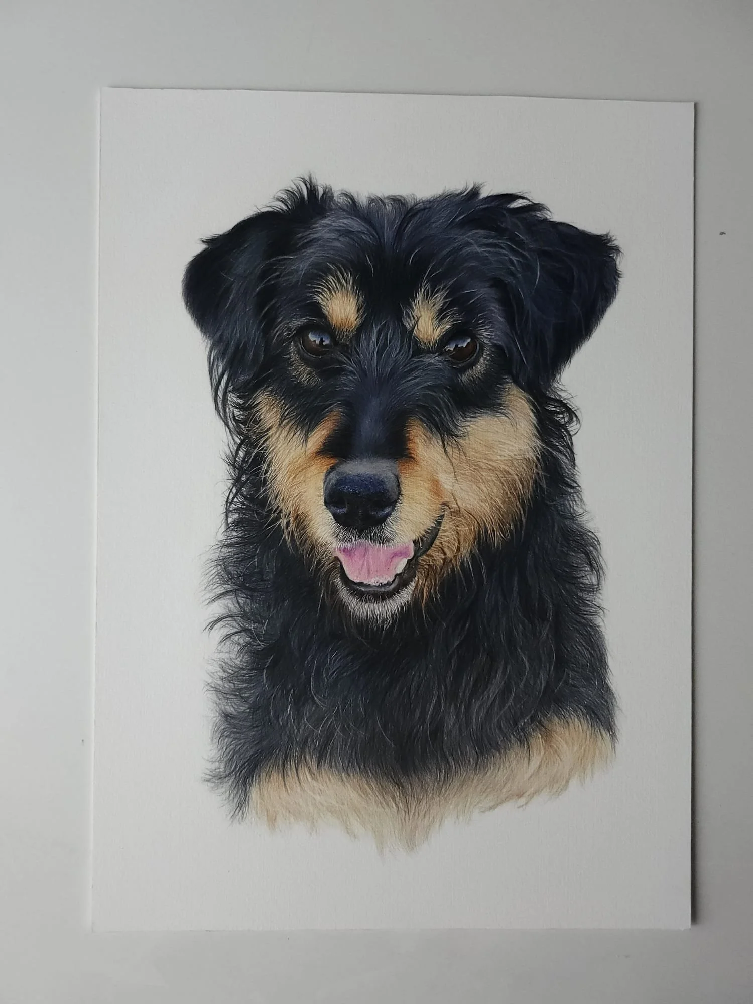 WhatsApp Image 2024-12-24 at 4.56.41 PM.jpeg