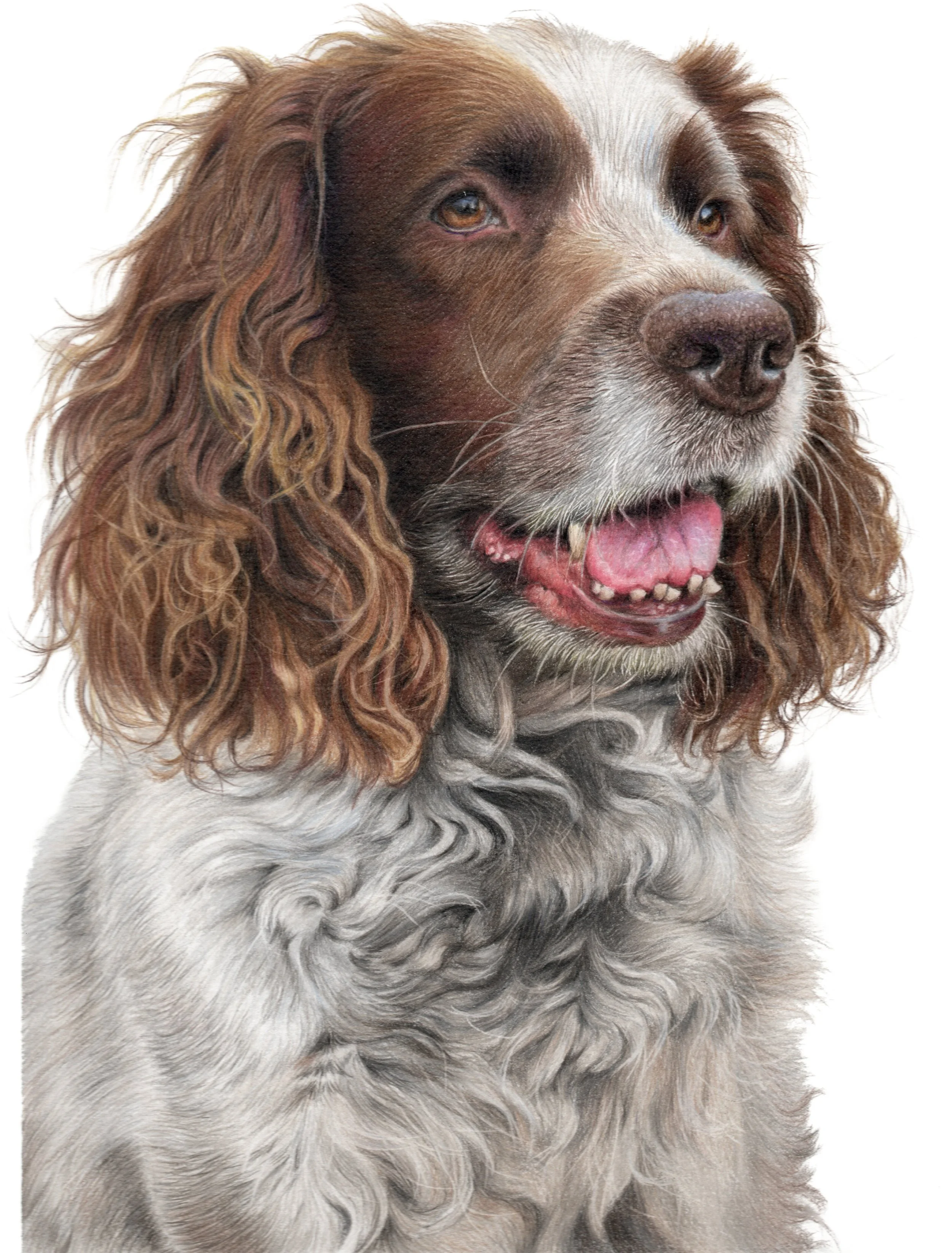 JPEG- Dave-resized op1.jpg