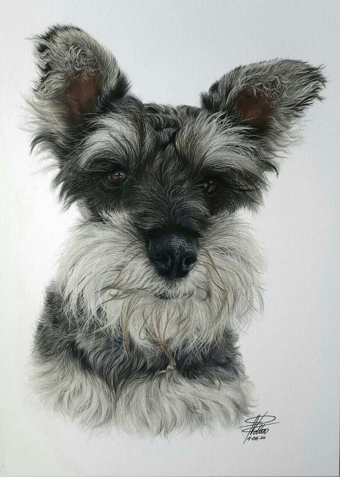 WhatsApp Image 2025-01-03 at 2.50.57 PM.jpeg