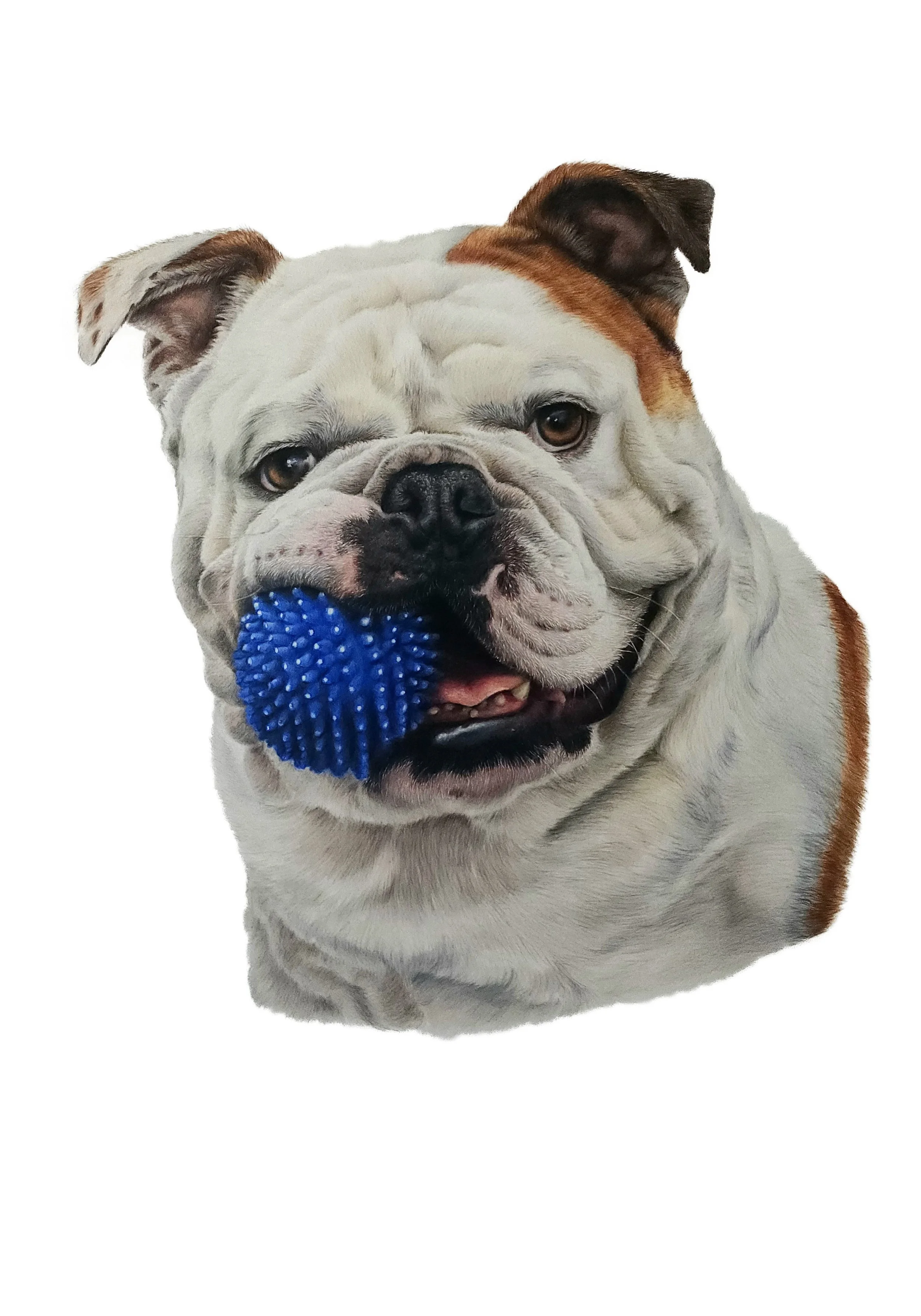 20241108_121105 winston.jpg