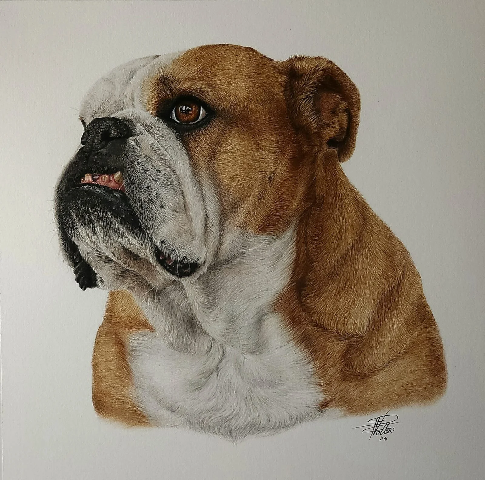 WhatsApp Image 2025-01-03 at 2.50.56 PM (4).jpeg