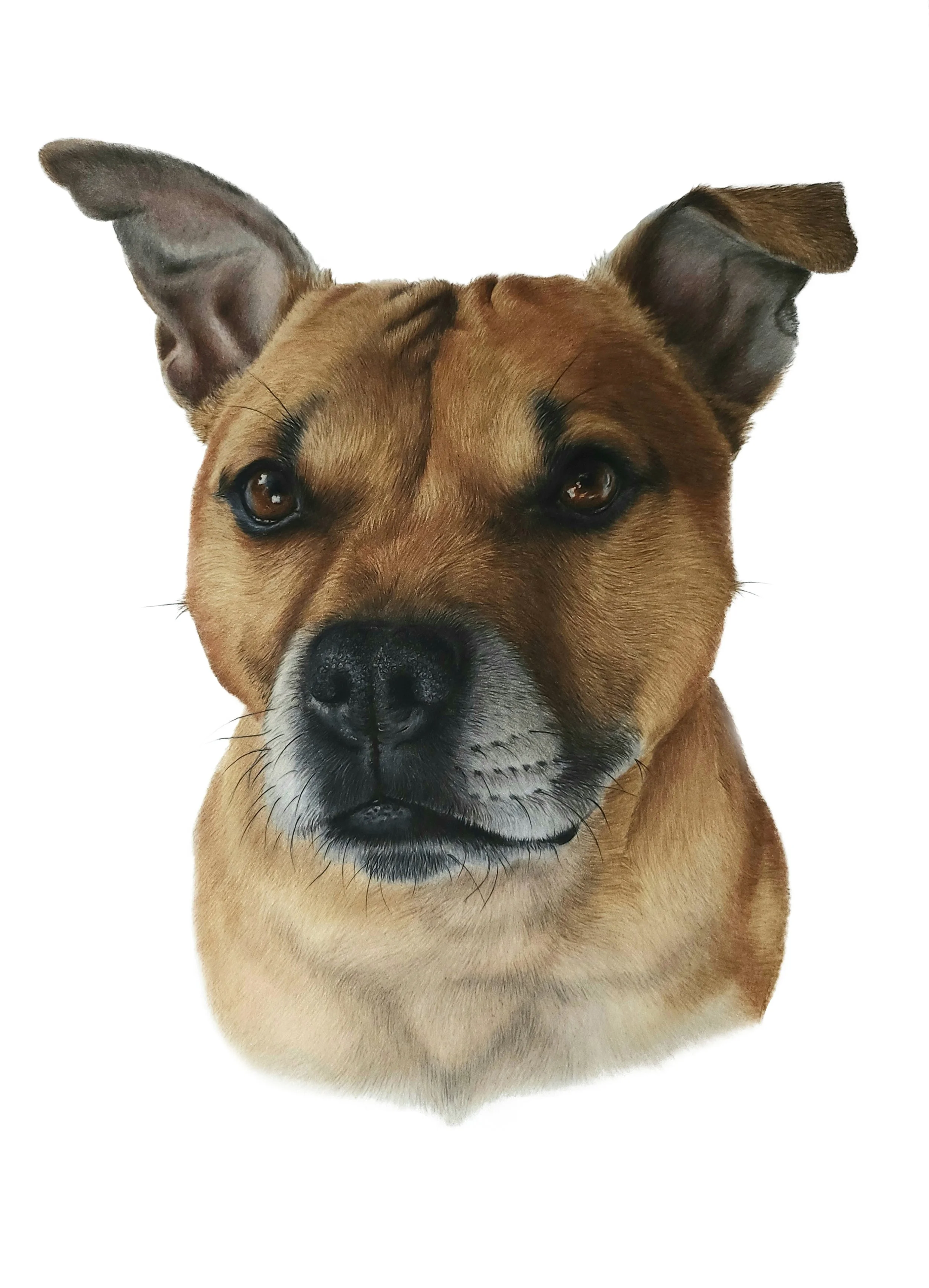 Zena- JPEG - no background resized.jpg