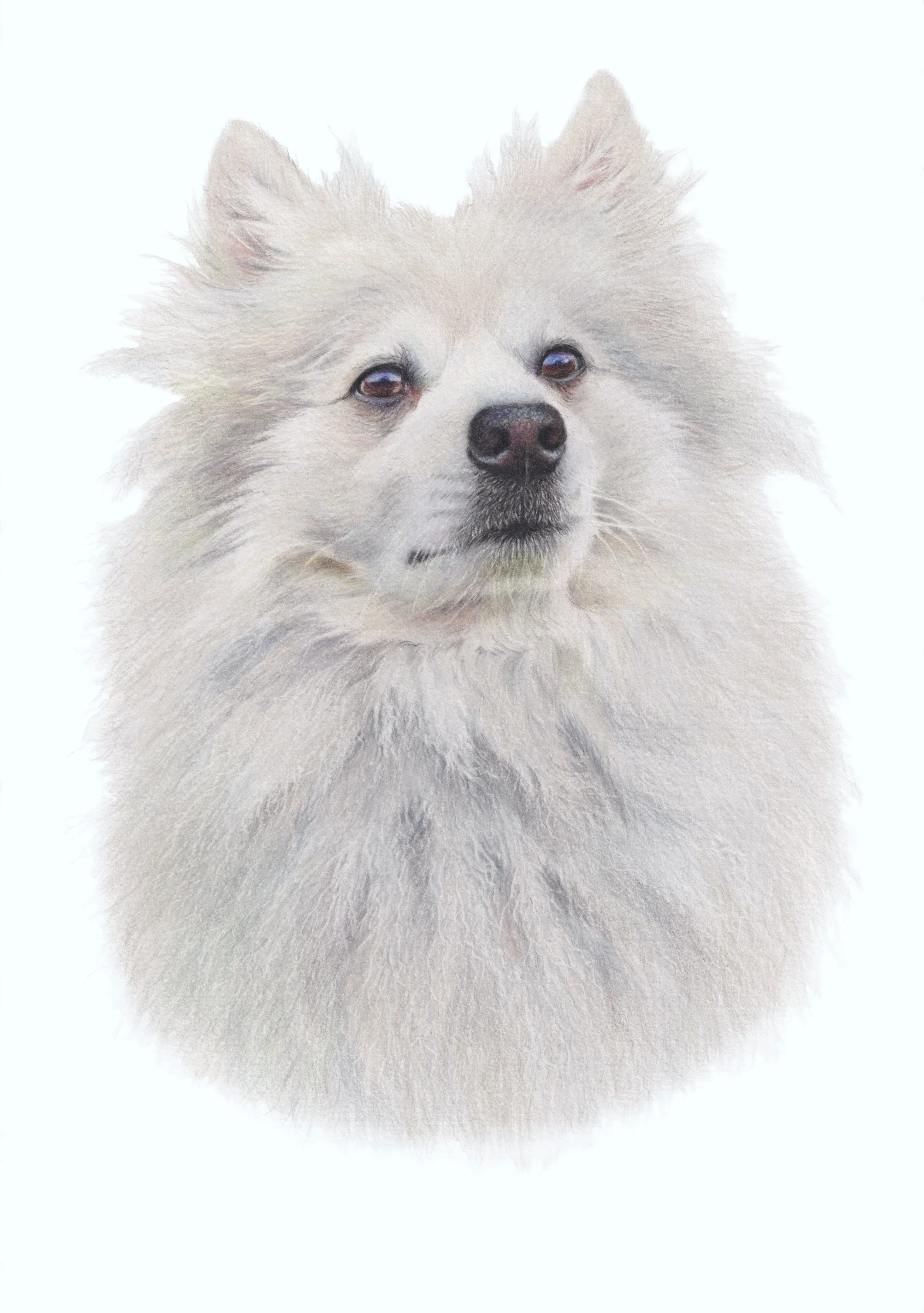 Yoshi2 - JPEG no background22.jpg