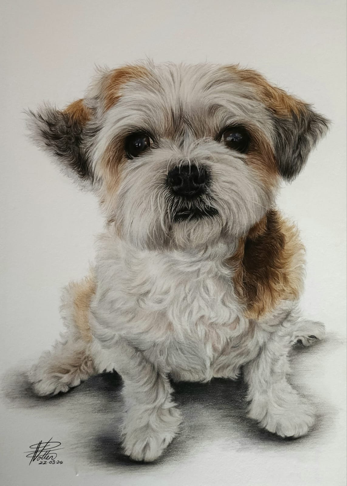 WhatsApp Image 2025-01-03 at 2.50.58 PM (2).jpeg