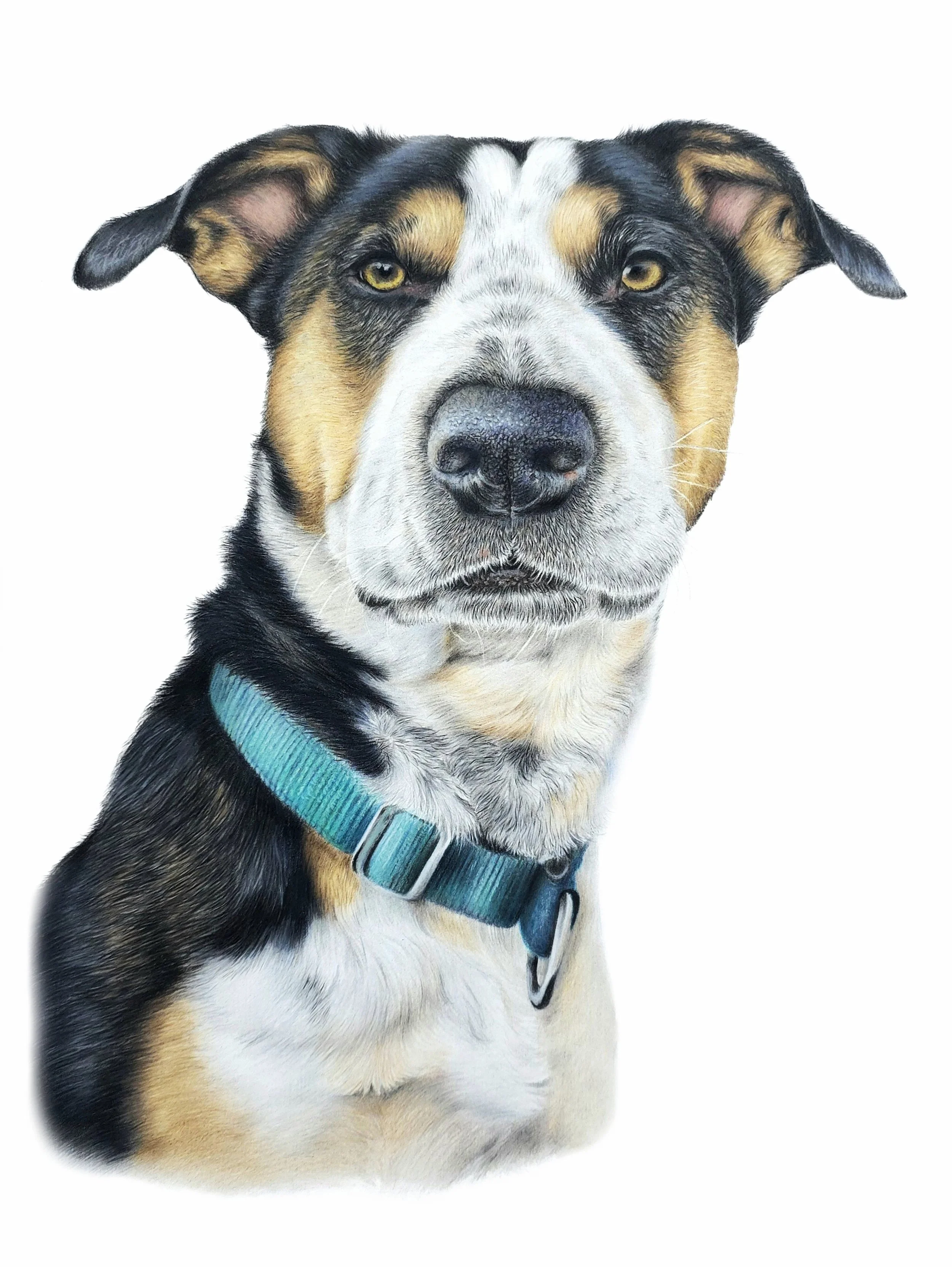 Afinity- Baxter resized no layers22.jpg