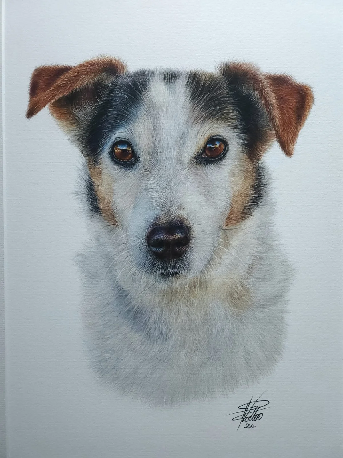 WhatsApp Image 2025-01-03 at 2.50.56 PM (2).jpeg