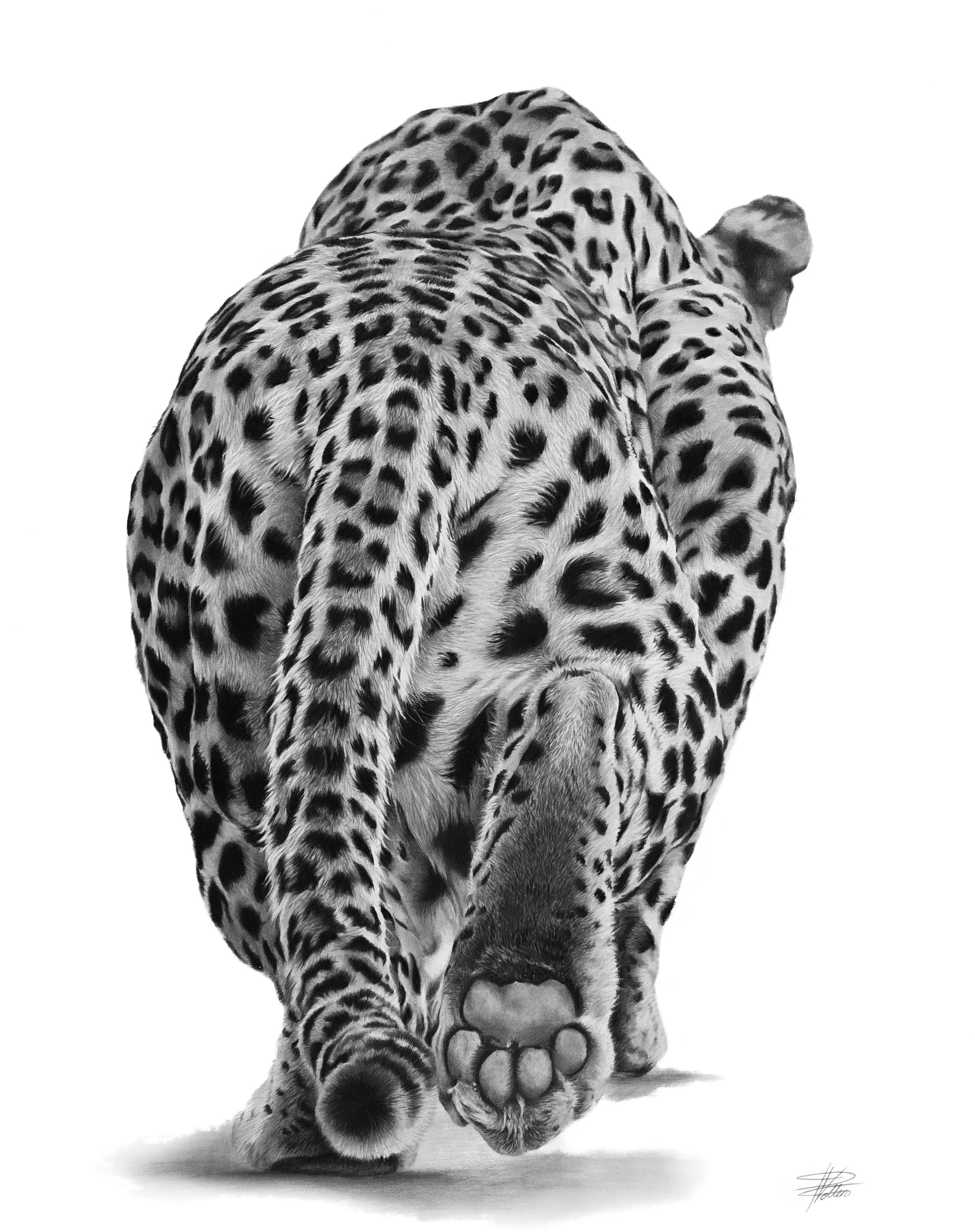 JPEG- Leopard- Stealth Master-VPART.jpg