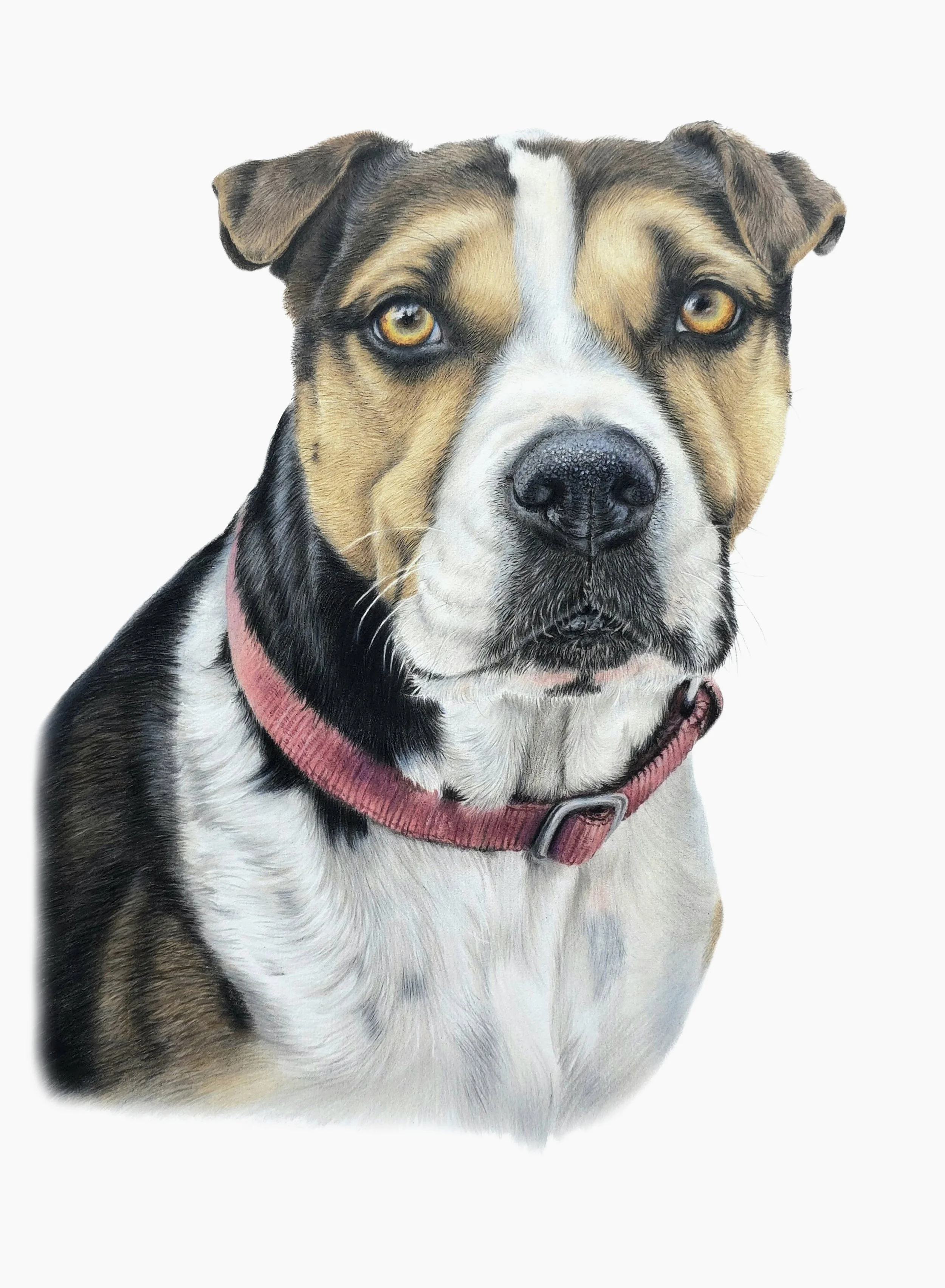 JPEG- Jess resized no layers2.jpg