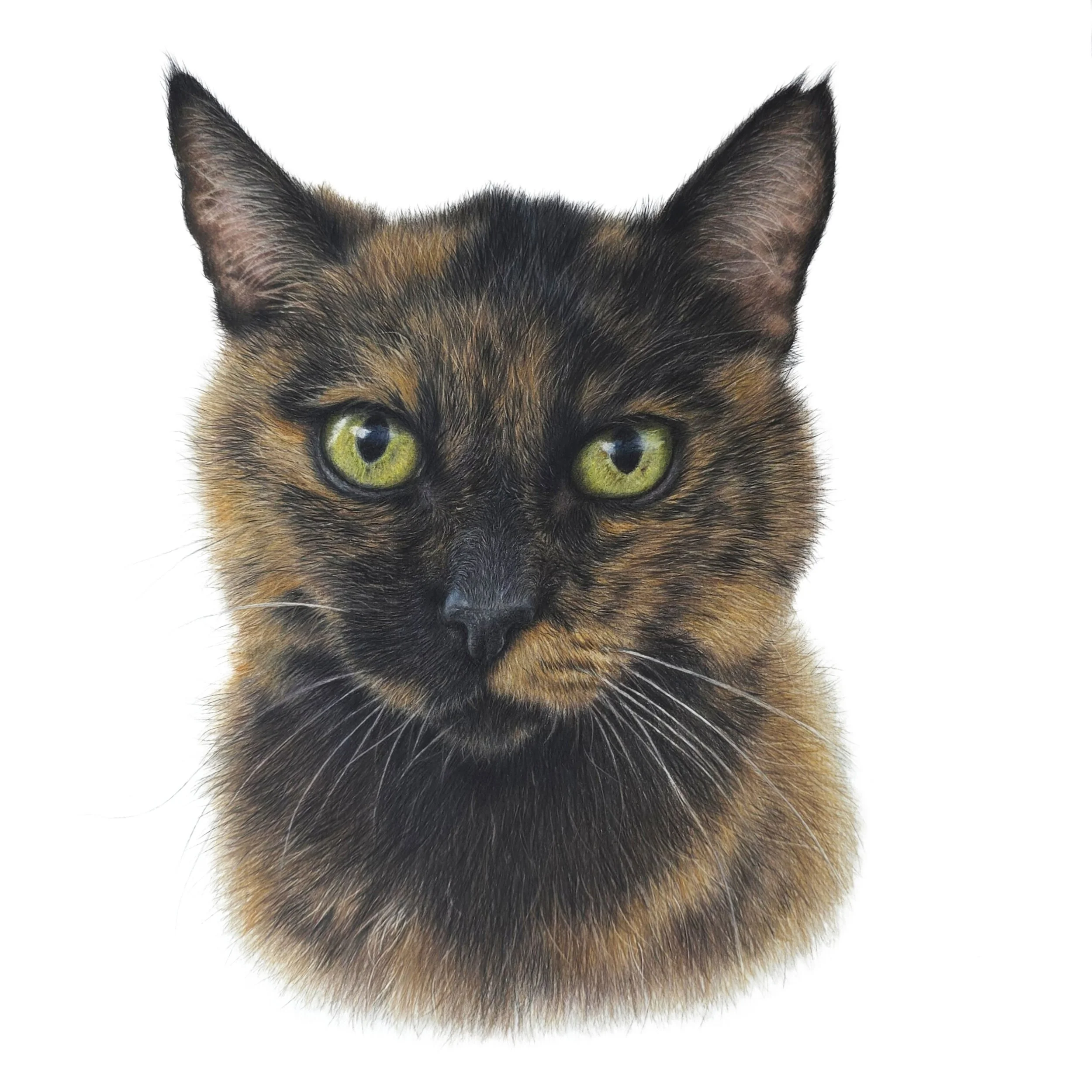 Mishka JPEG For printing adjusted.jpg