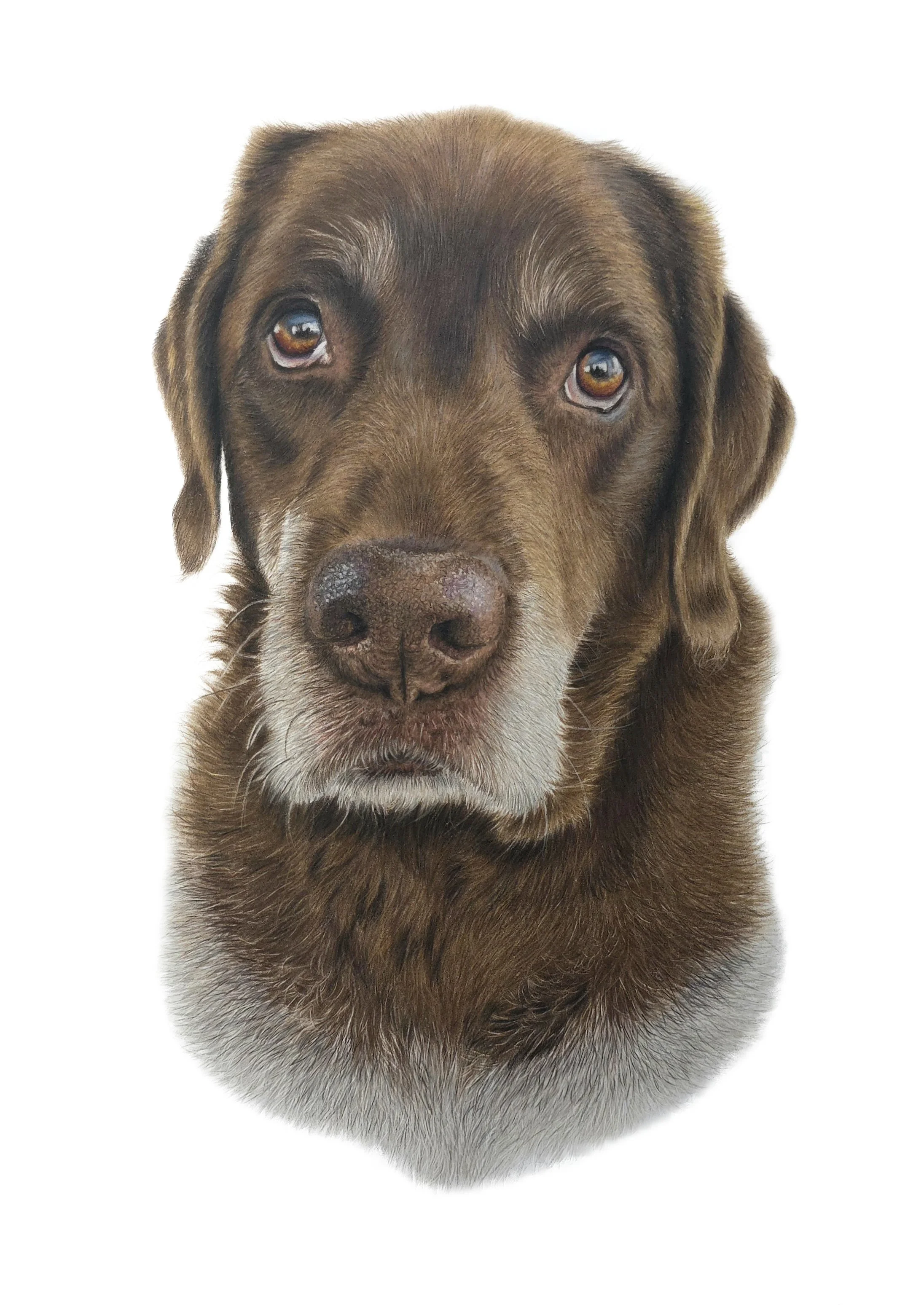 JPEG- Hugh original white background.jpg