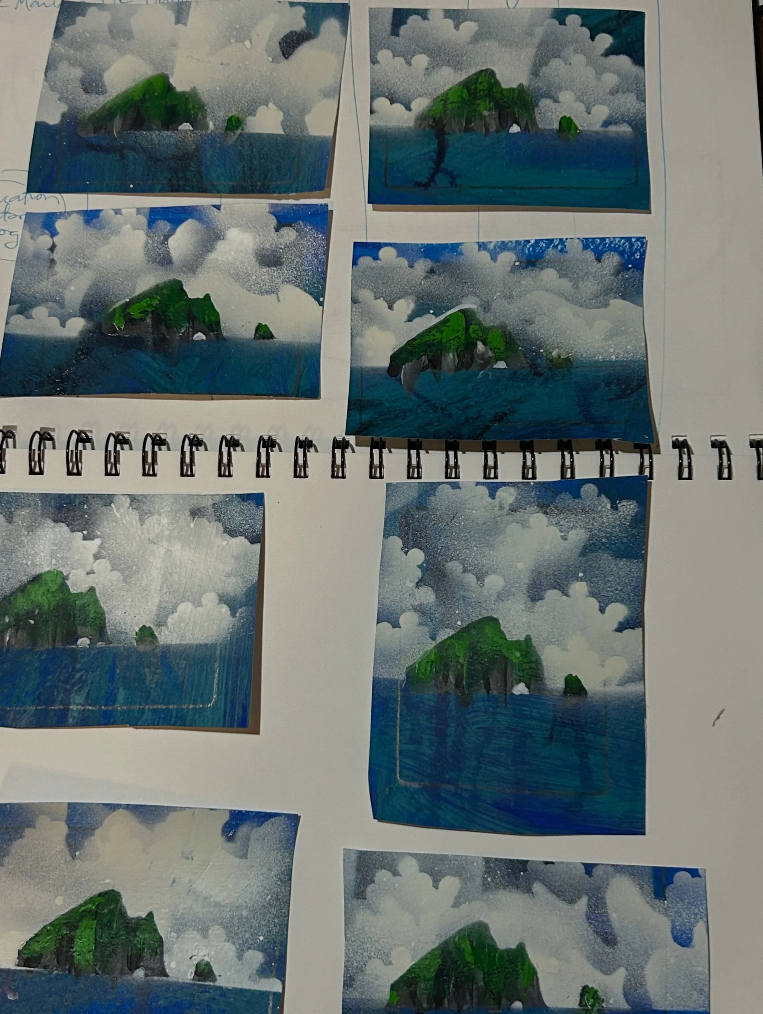 8 tiny islands in progress. Motukokako  Bay of Islands.