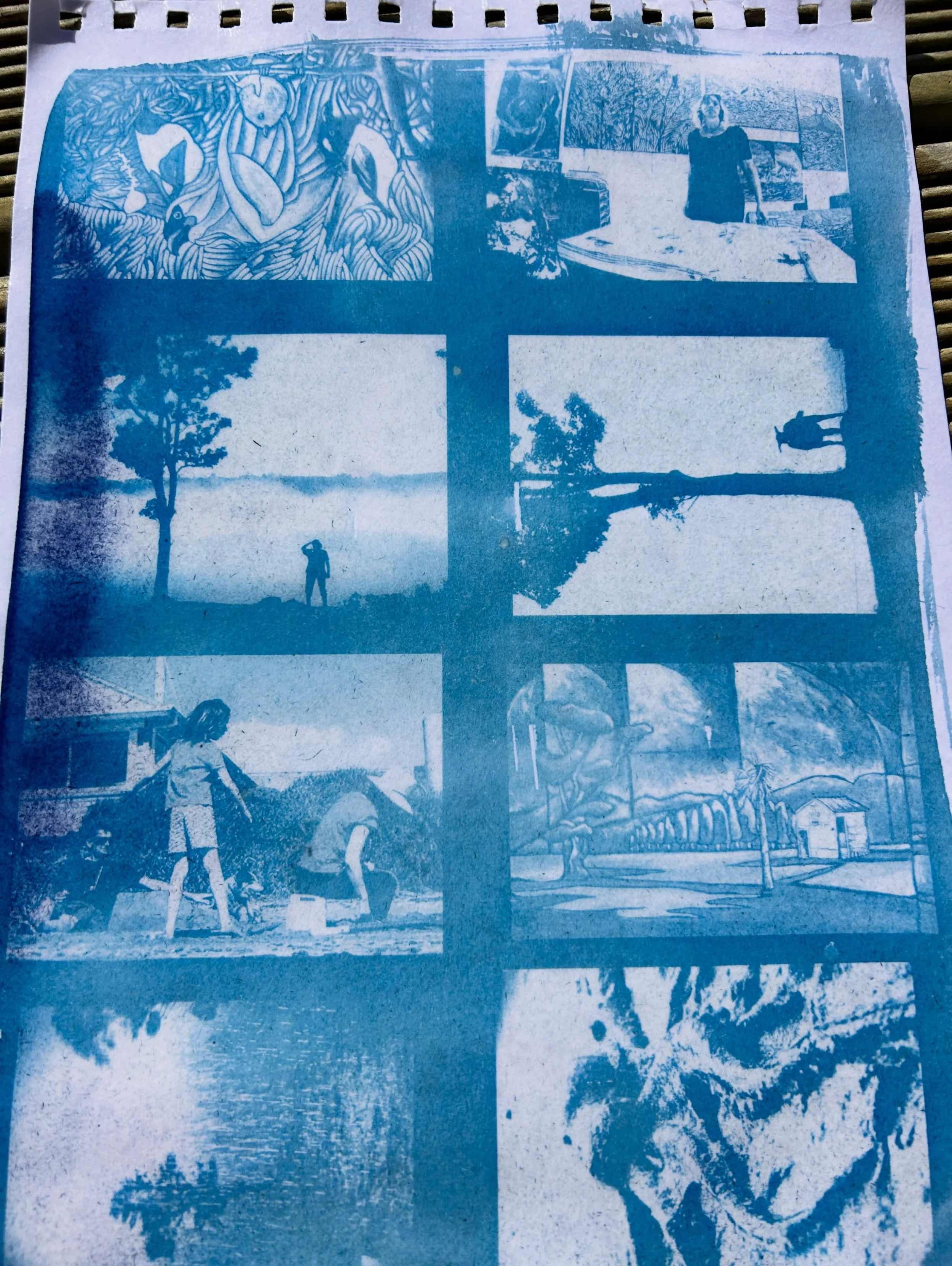 #artbeforedishes
#cyanotype
Tiny prints