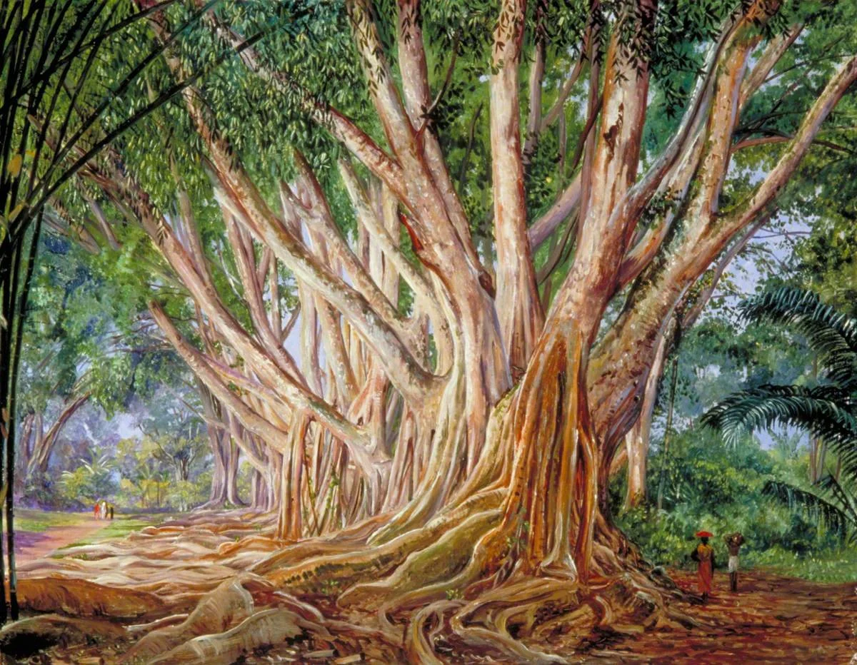 Marianne_North_(1830-1890)_-_Avenue_of_Indian_Rubber_Trees_at_Peradeniya,_Ceylon_-_MN260_-_Marianne_North_Gallery.jpg